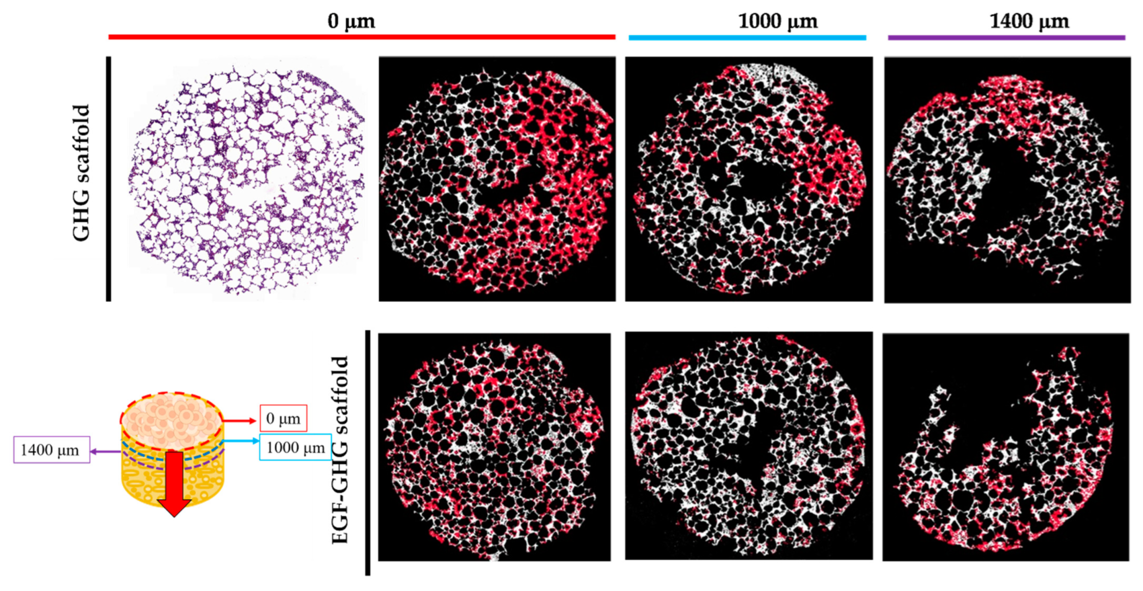 Polymers 14 03340 g006