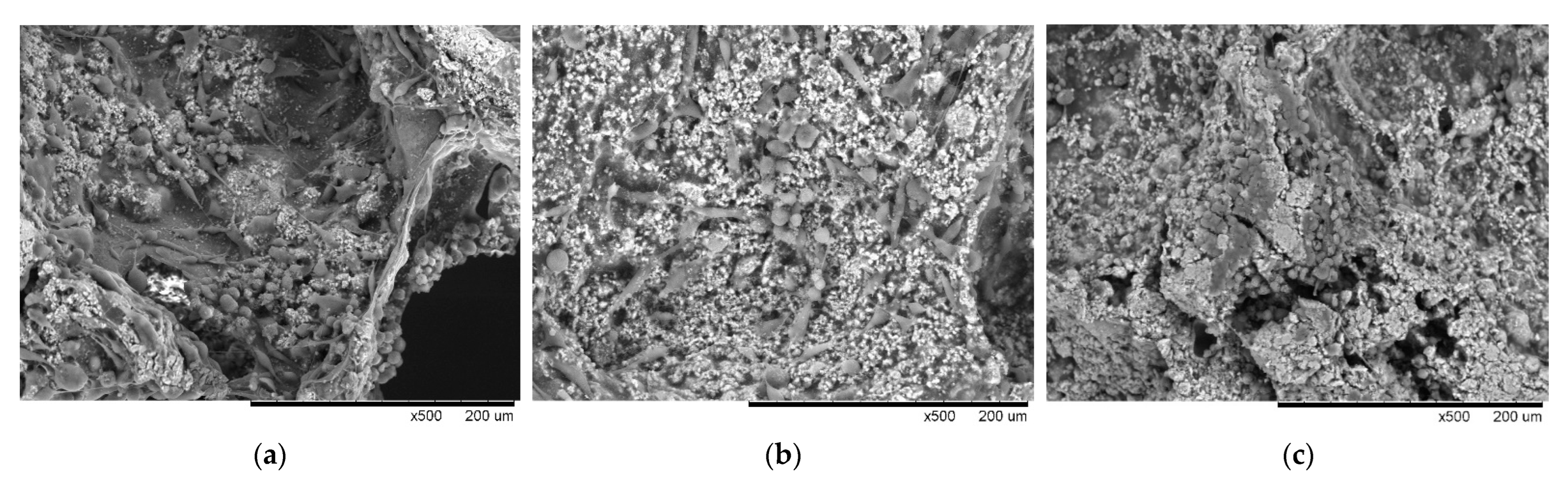 Polymers 14 03340 g007