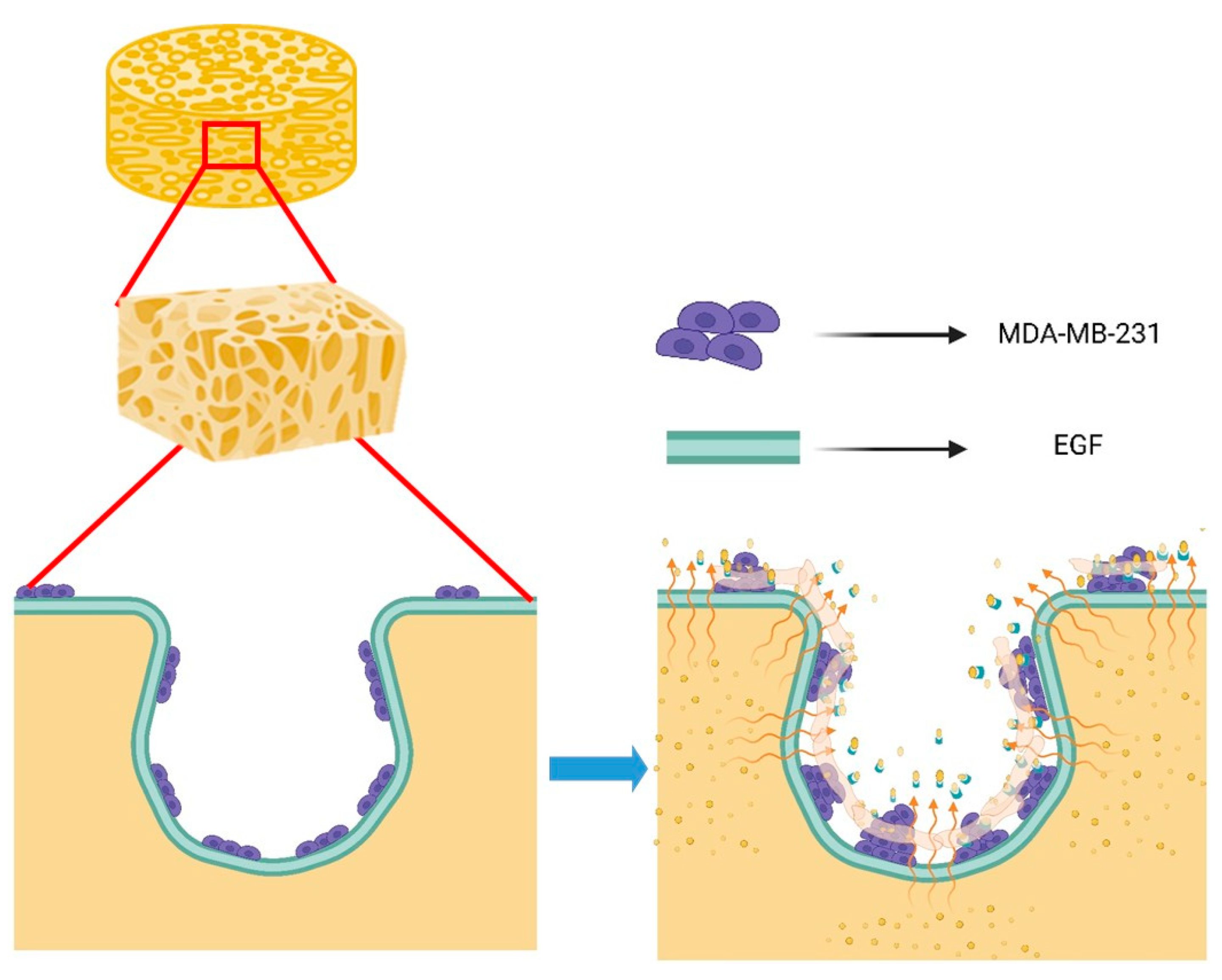 Polymers 14 03340 g008