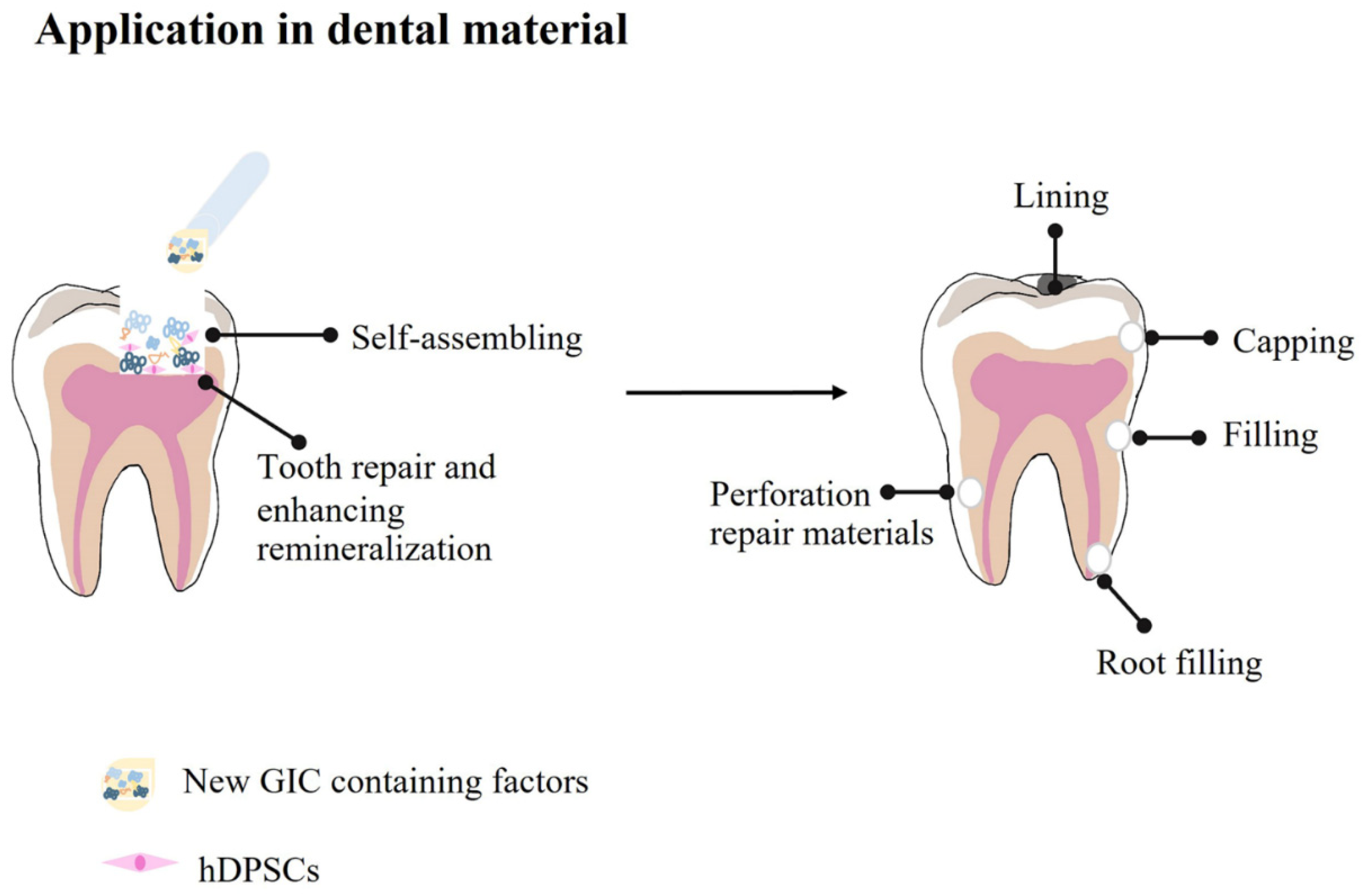 Polymers 14 03341 g001 550