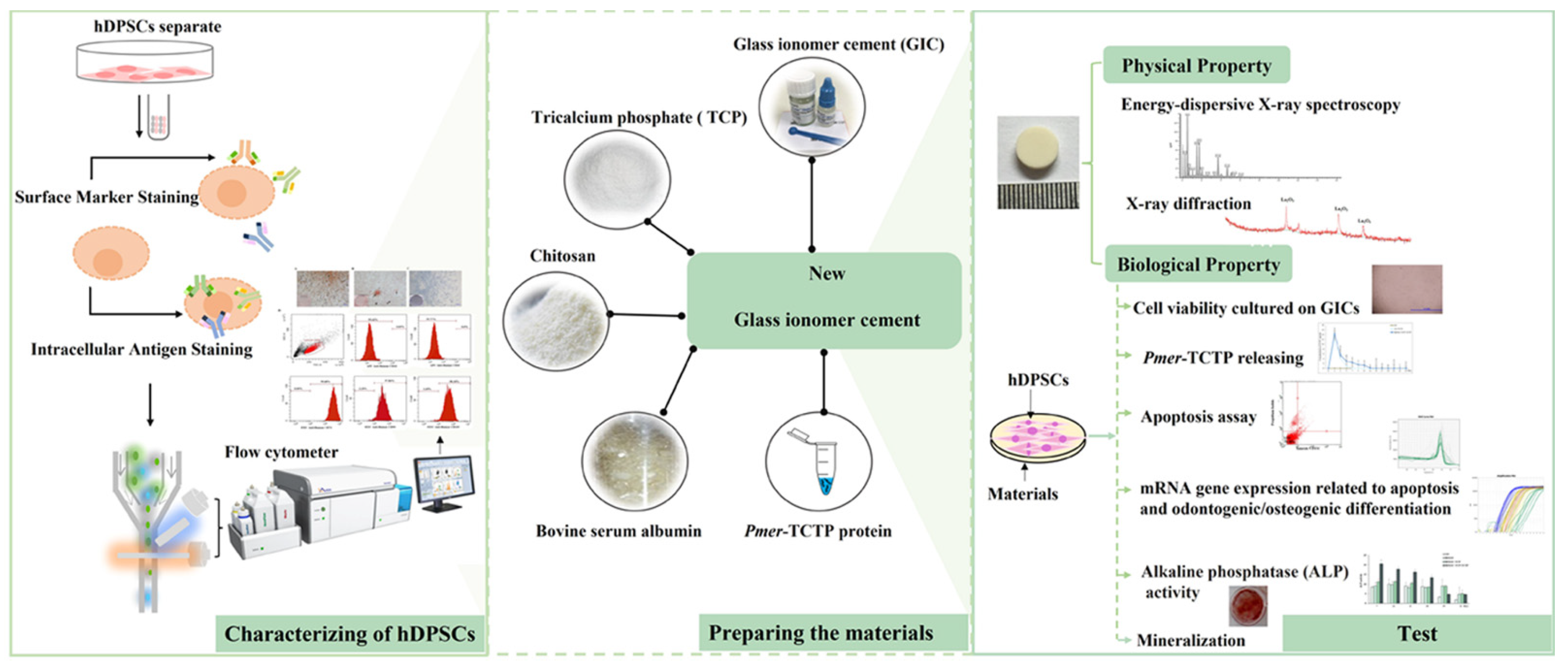 Polymers 14 03341 g002 550