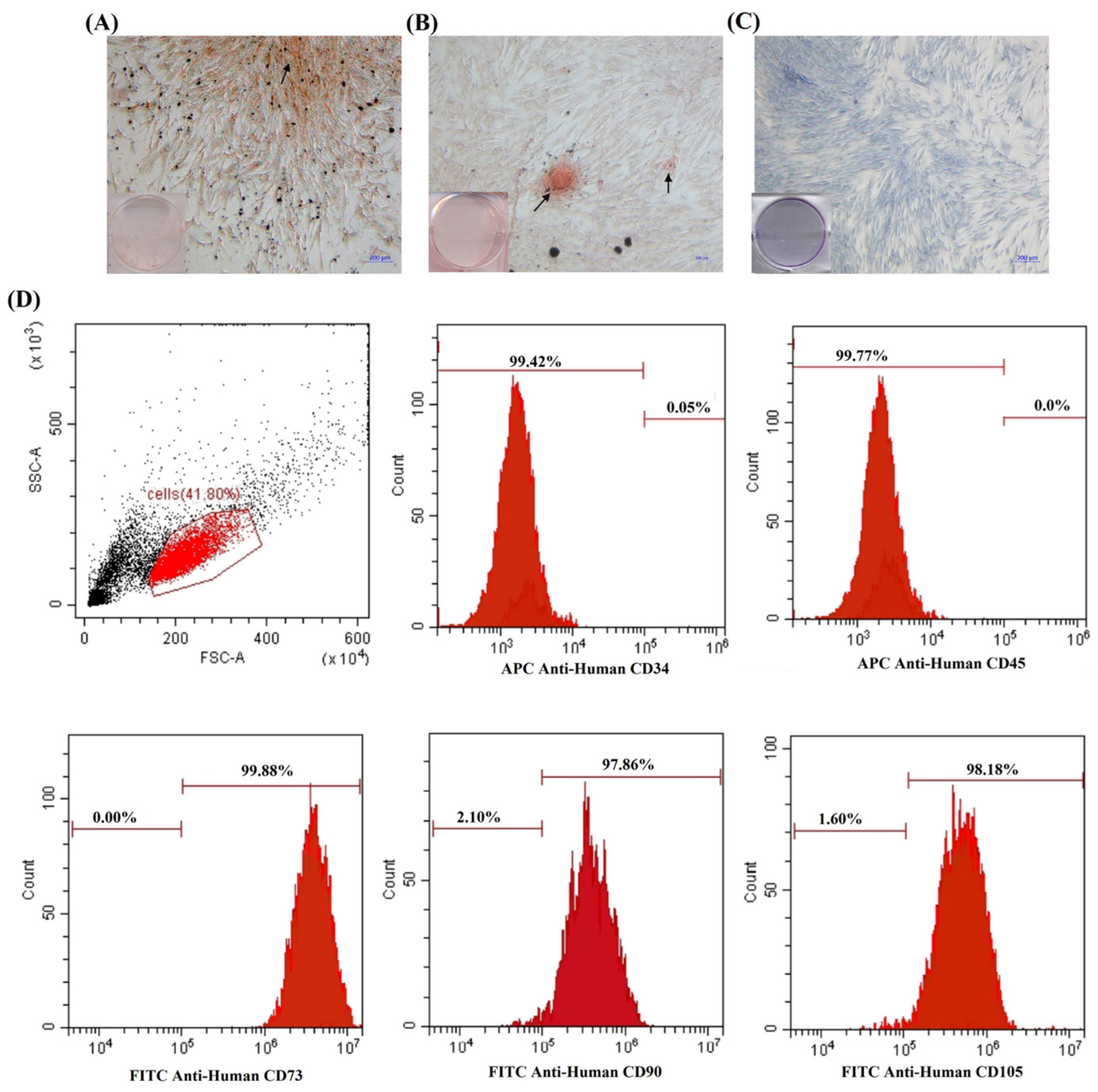 Polymers 14 03341 g003 550