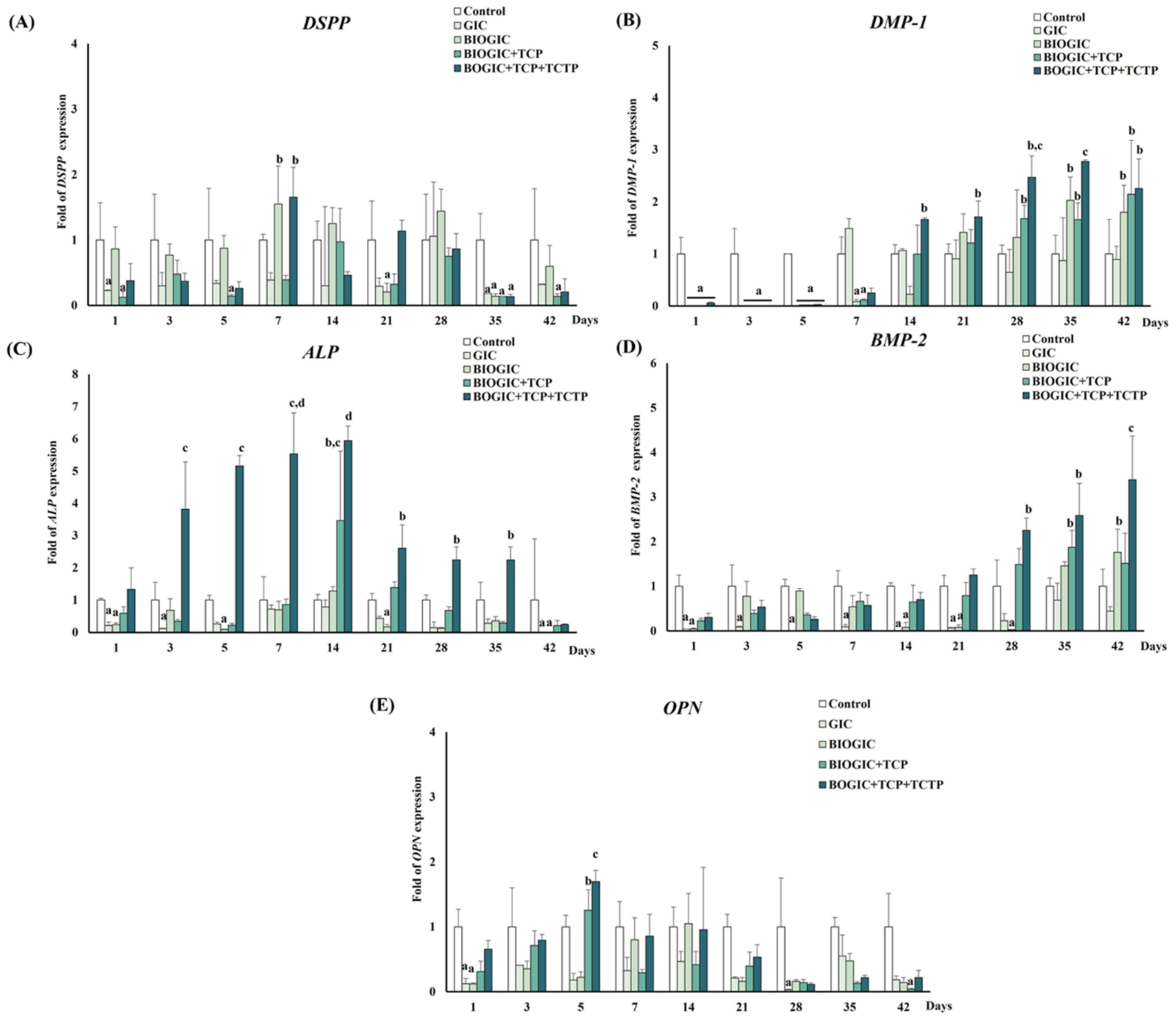 Polymers 14 03341 g012 550
