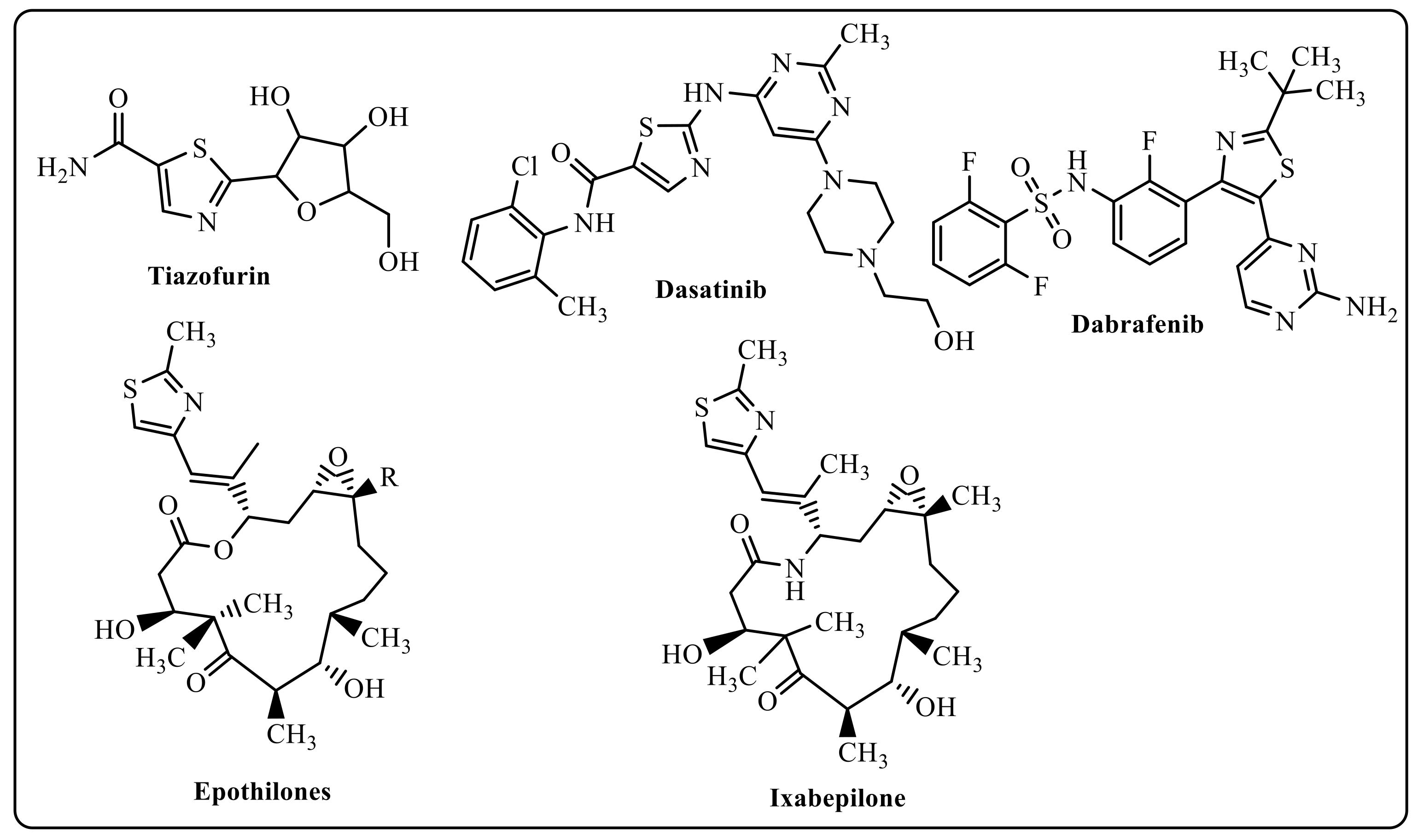Polymers 14 03347 g001