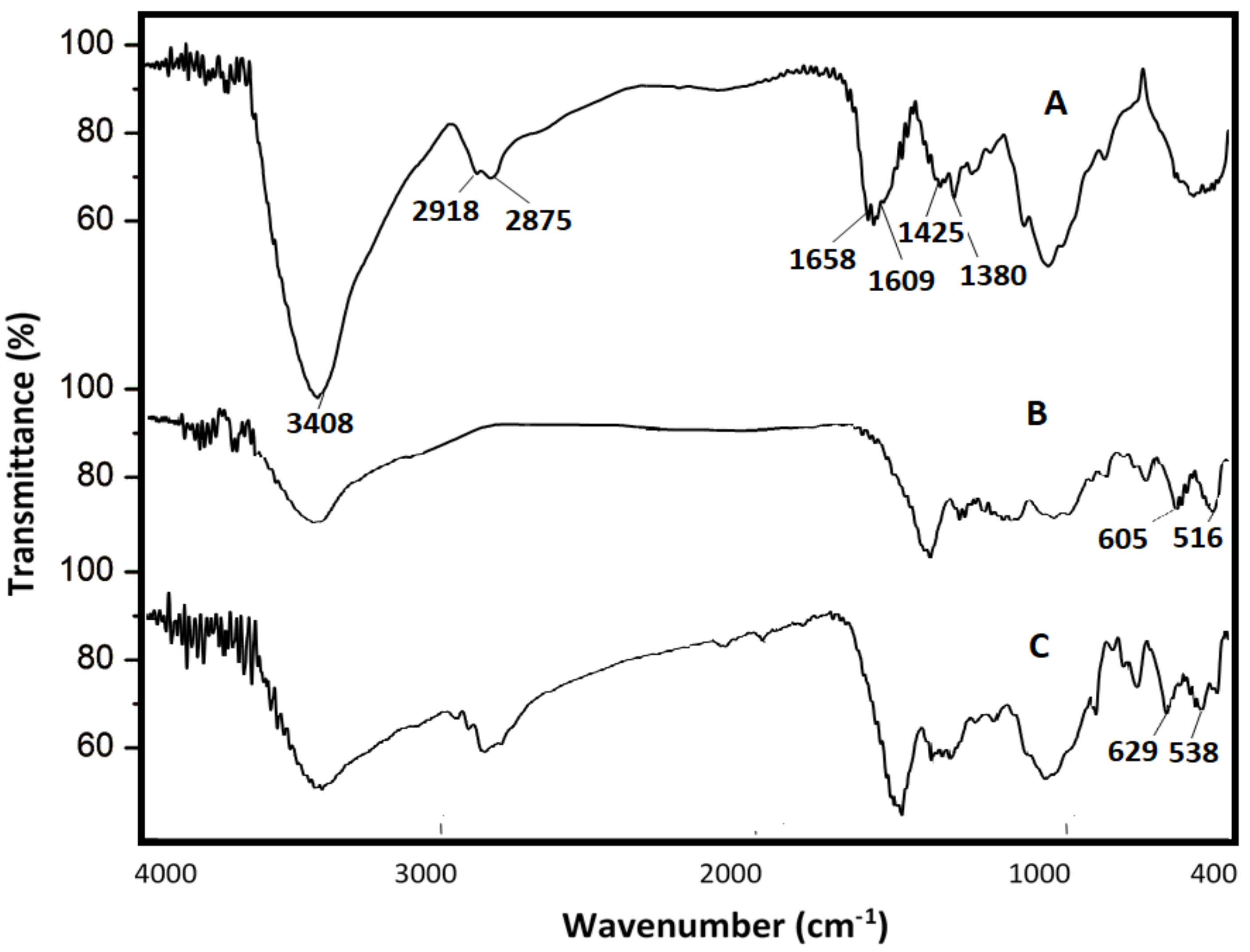 Polymers 14 03347 g002