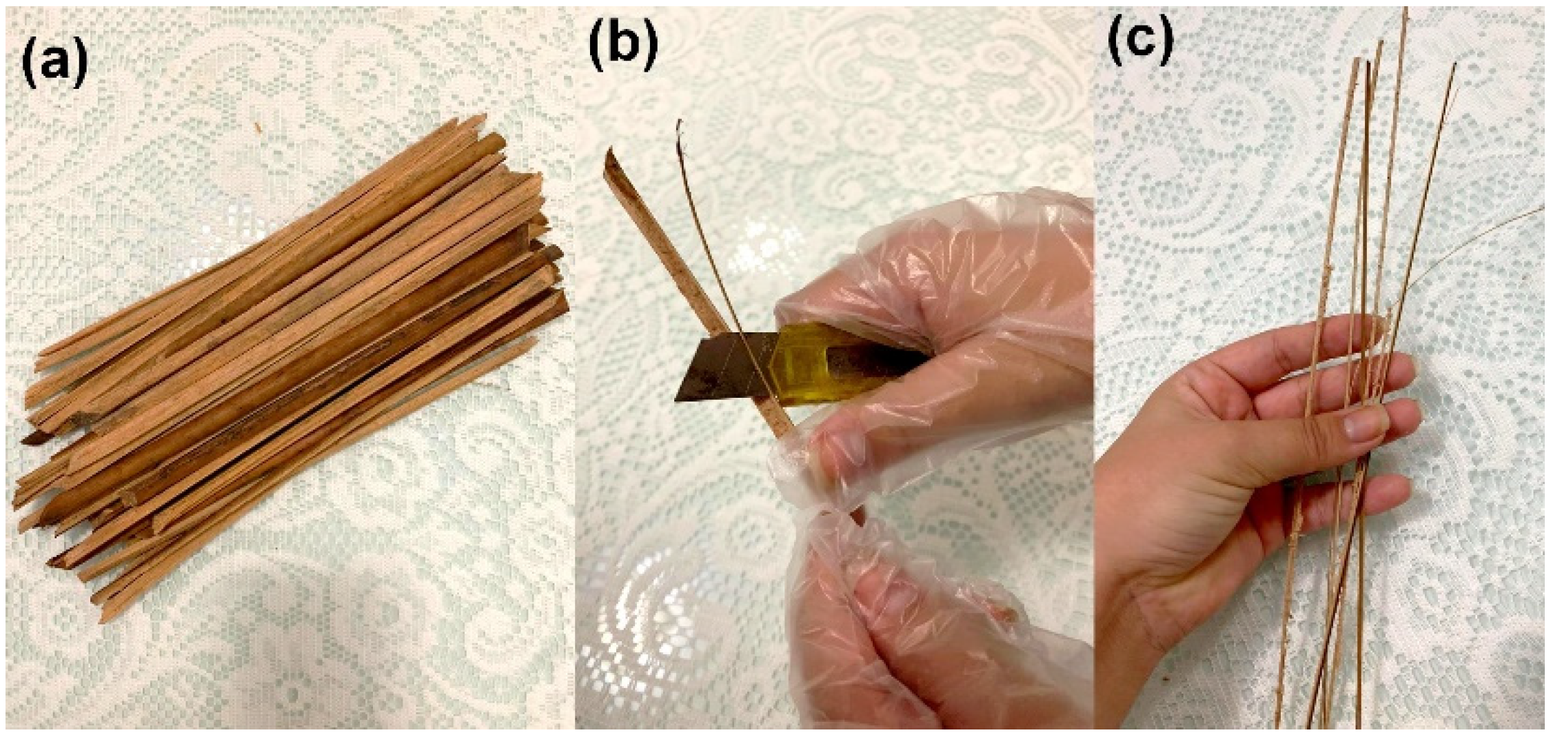 Polymers 14 03348 g001 550