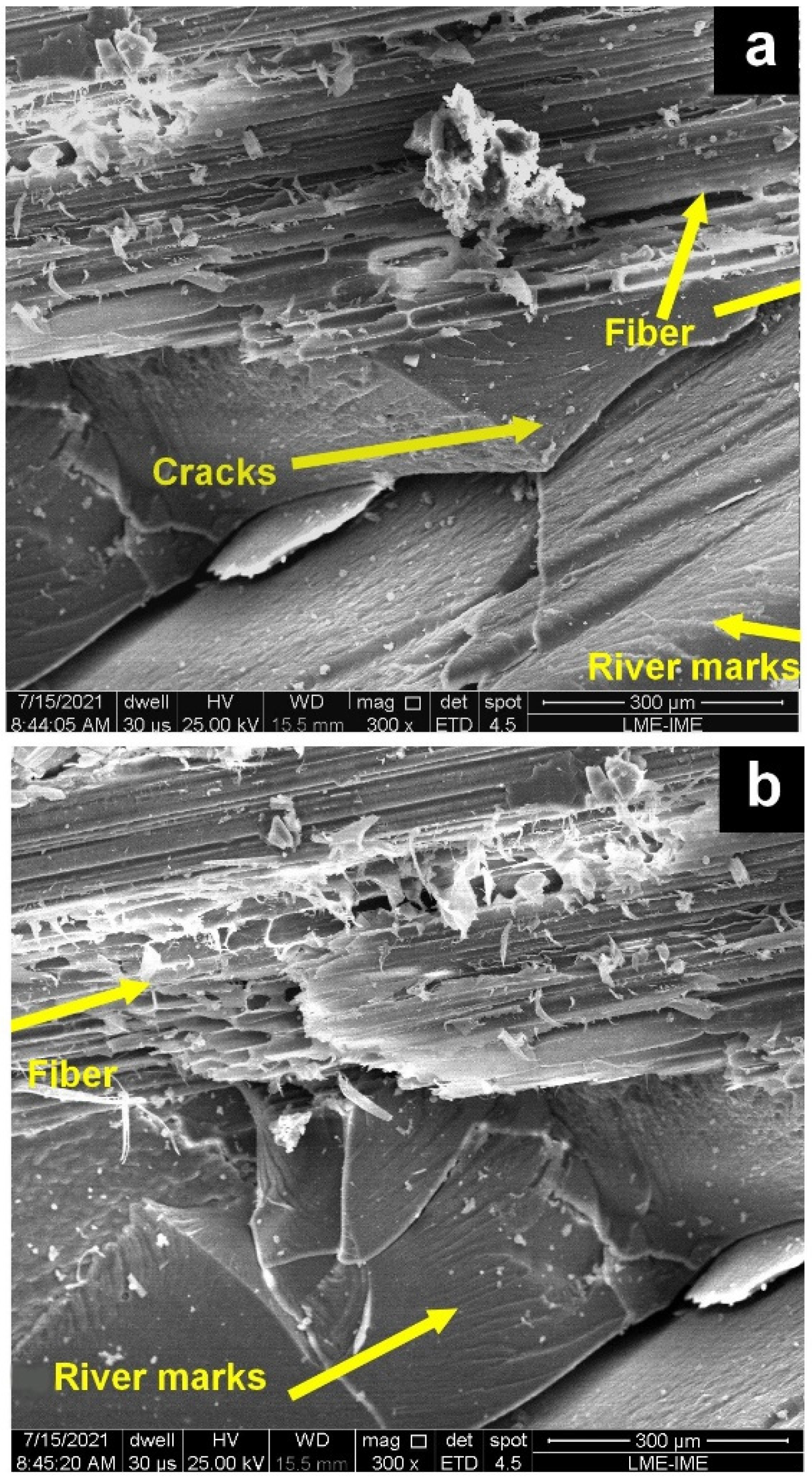 Polymers 14 03348 g008 550
