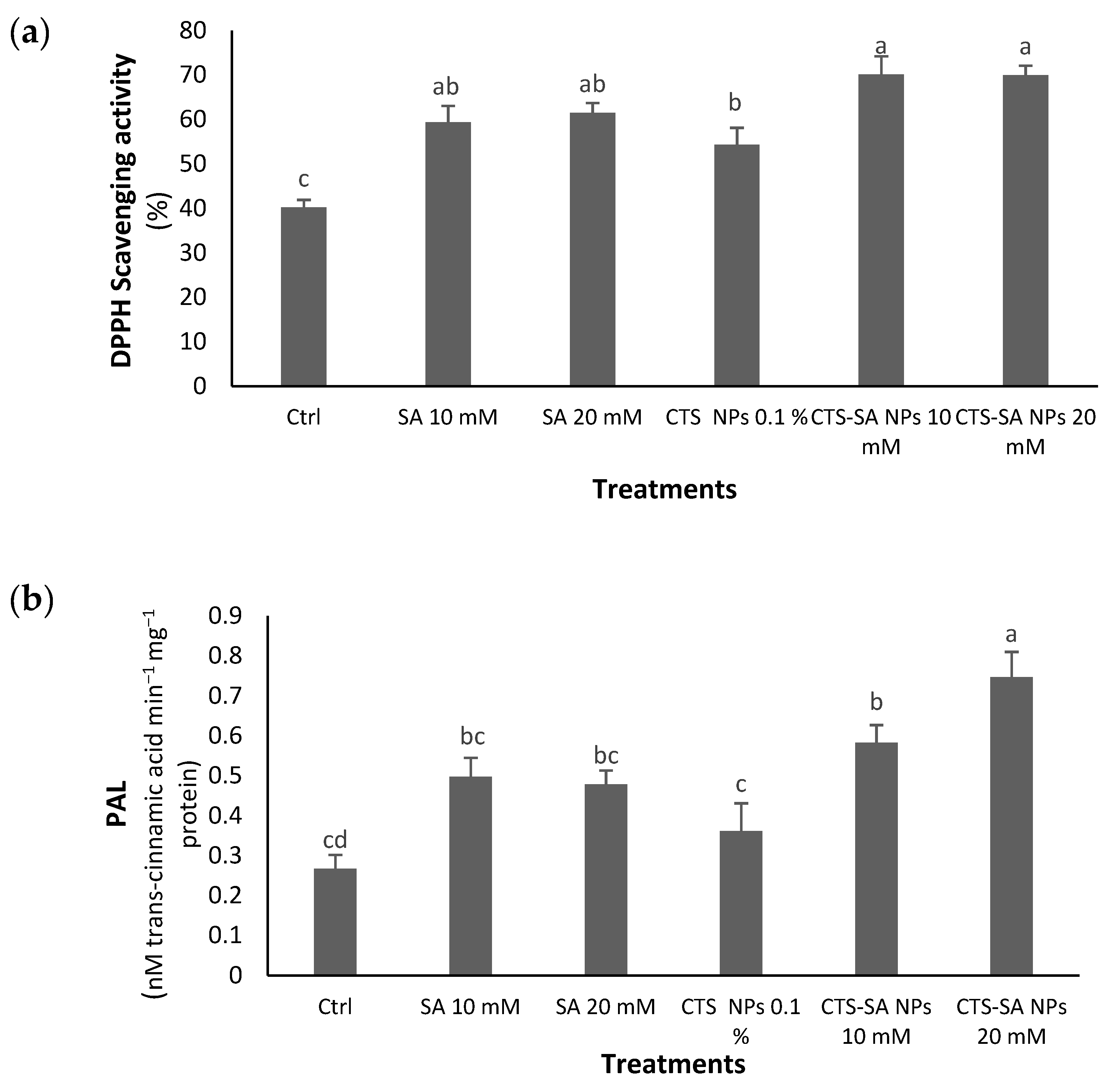 Polymers 14 03349 g004