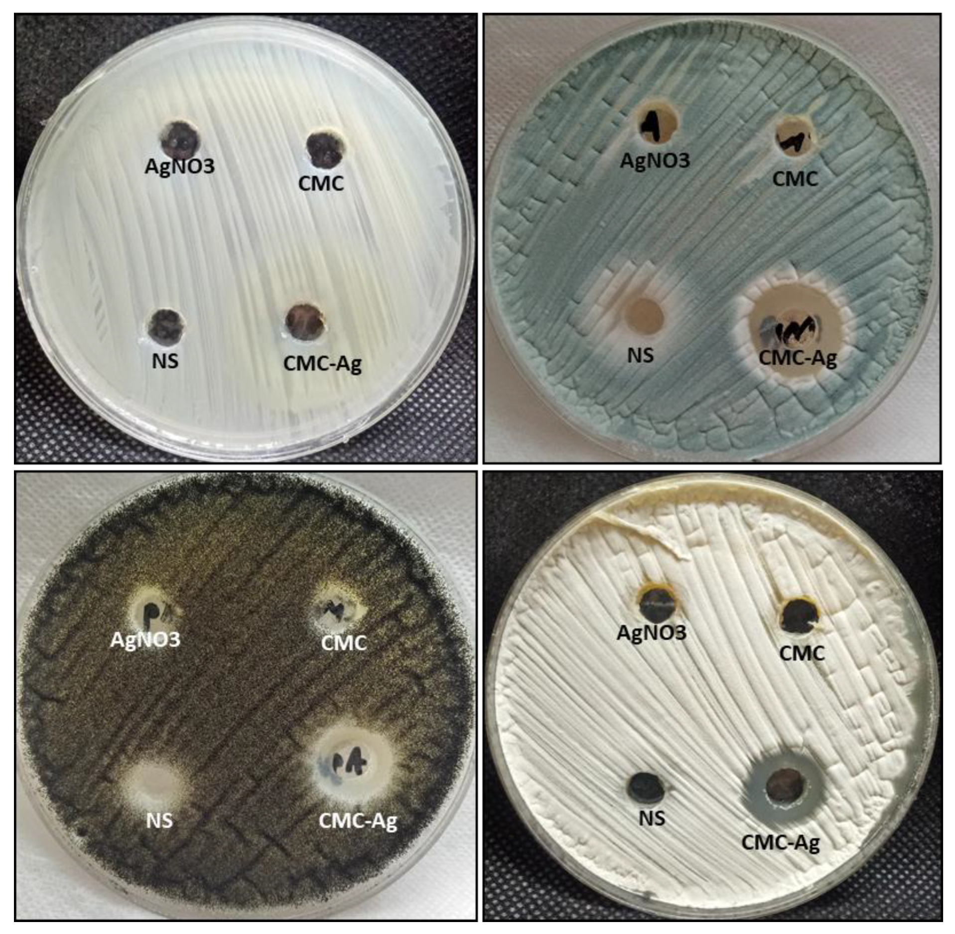 Polymers 14 03352 g003