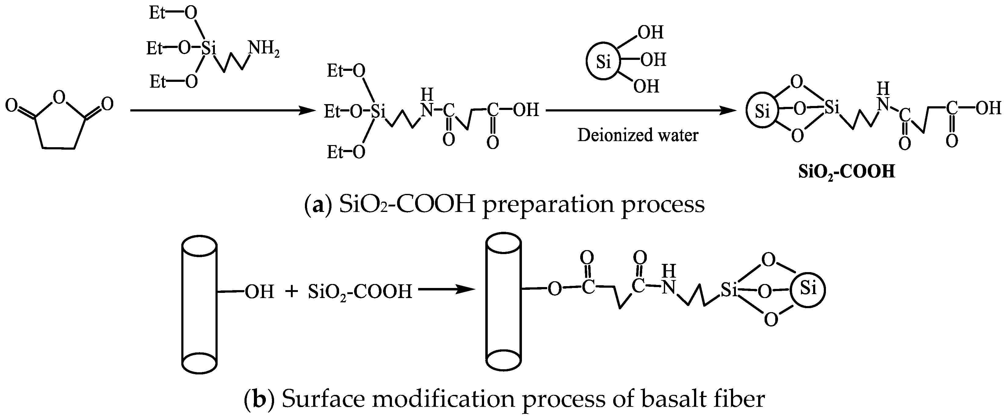 Polymers 14 03353 g001