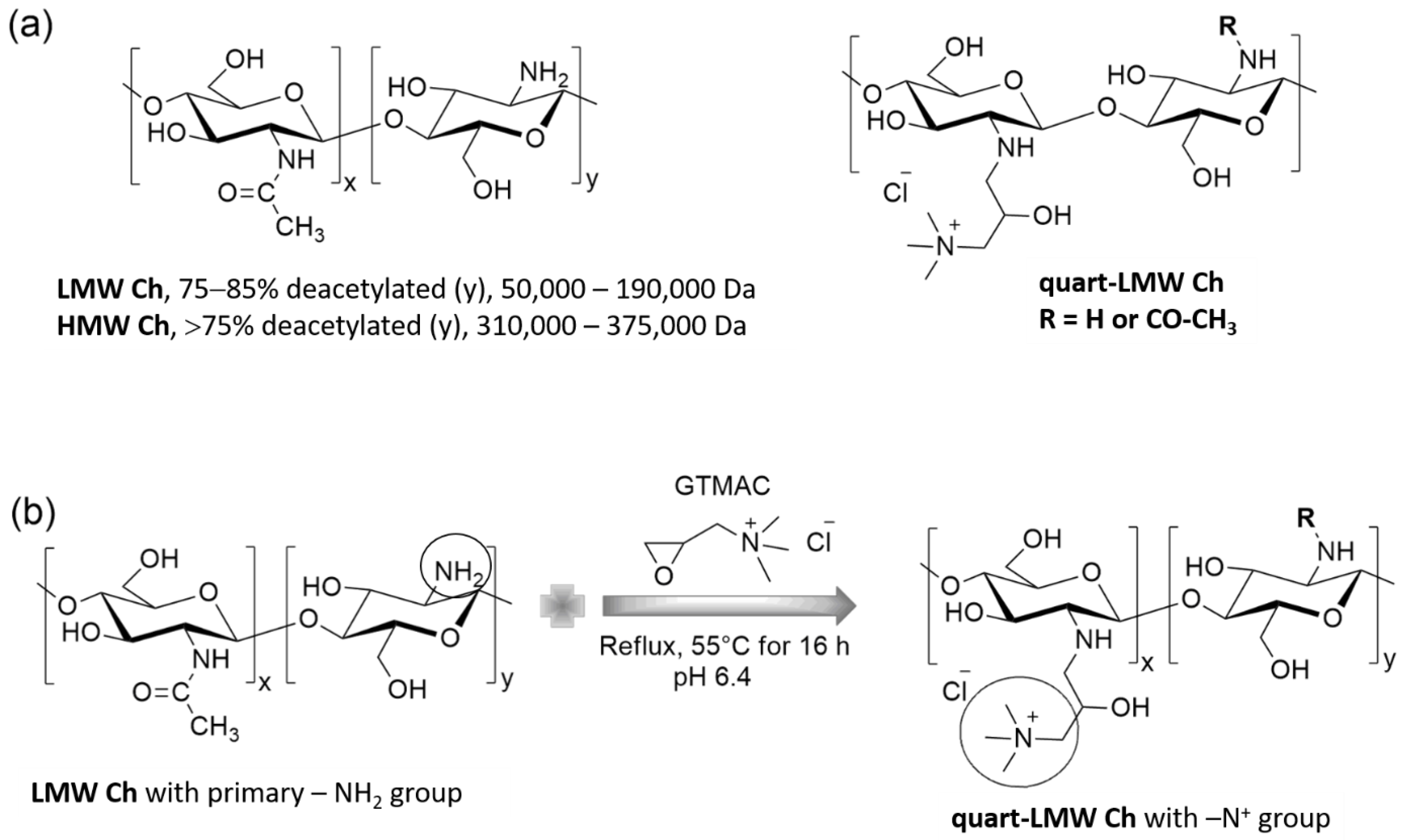 Polymers 14 03357 sch001