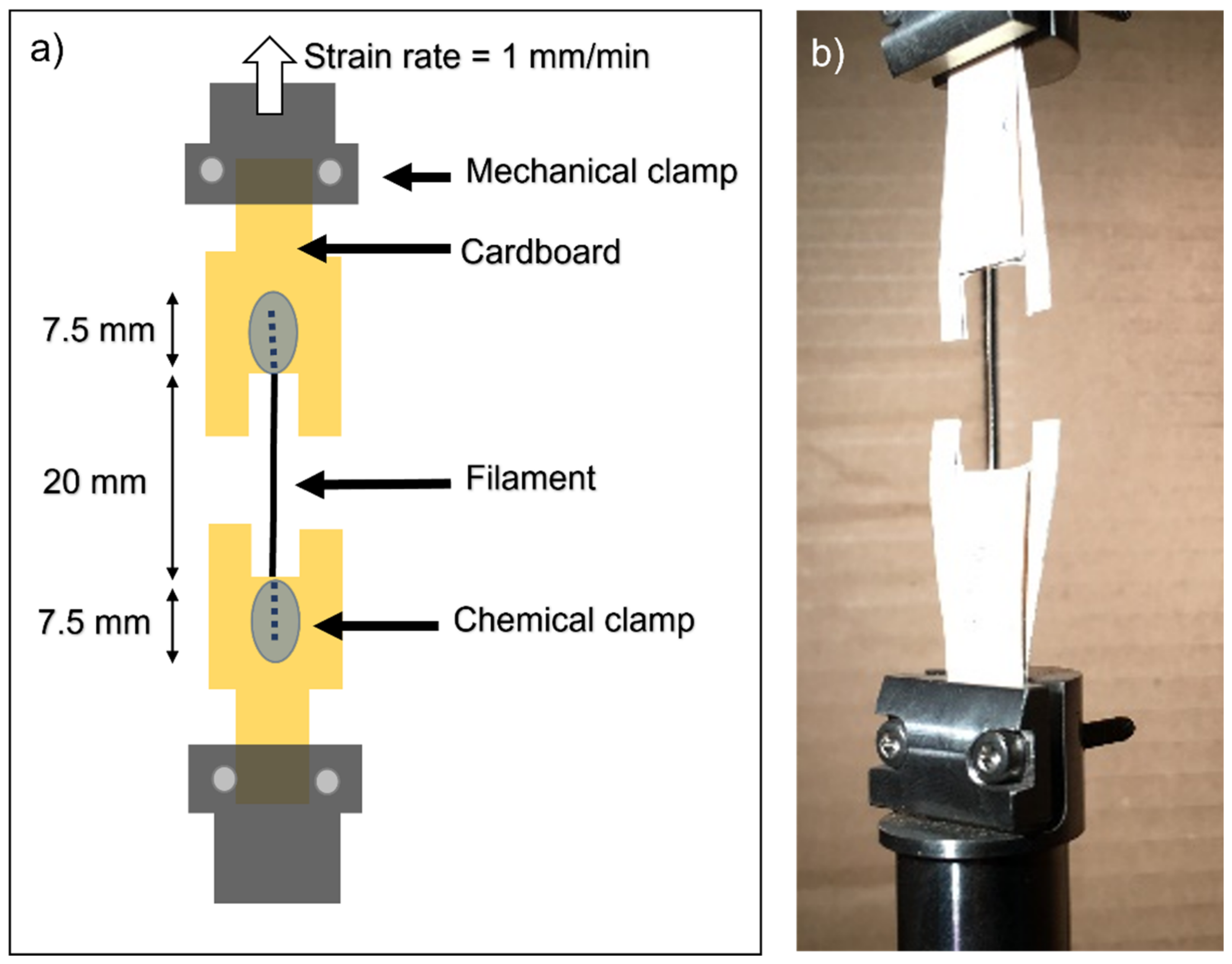 Polymers 14 03361 g002 550