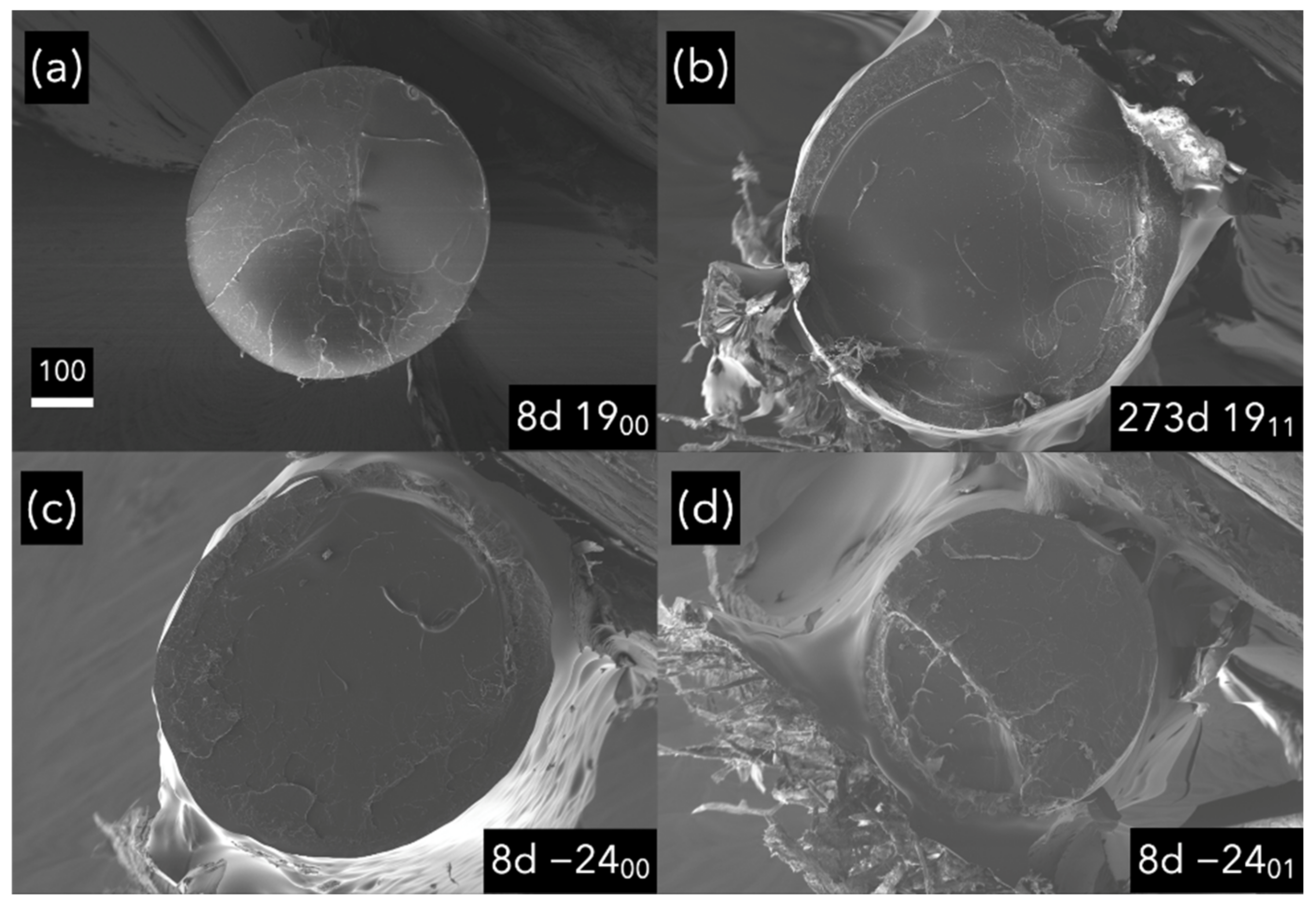 Polymers 14 03361 g017a 550
