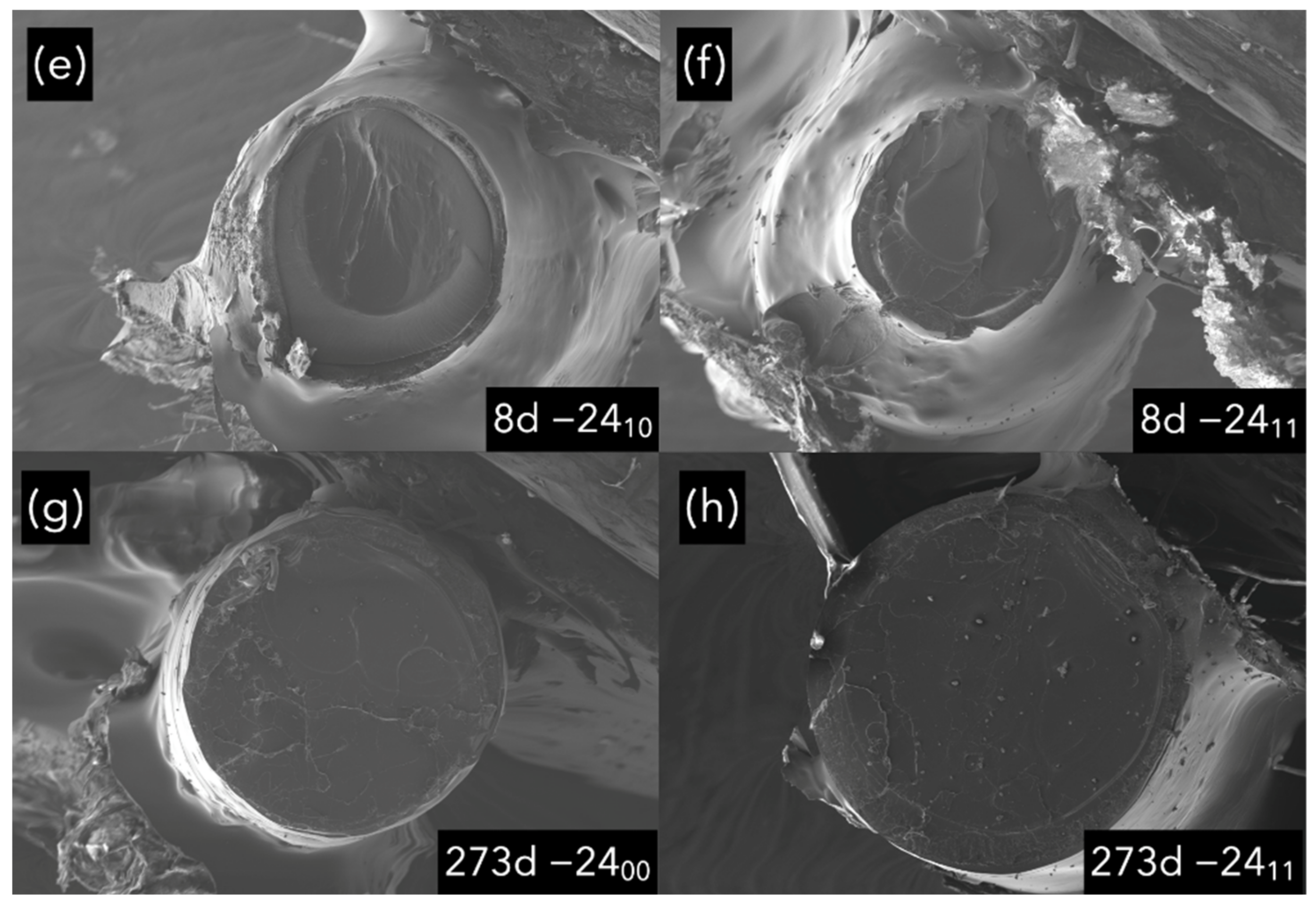 Polymers 14 03361 g017b 550