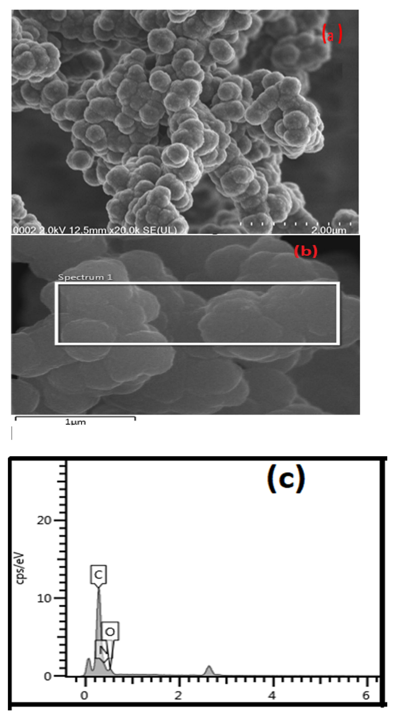 Polymers 14 03362 g005