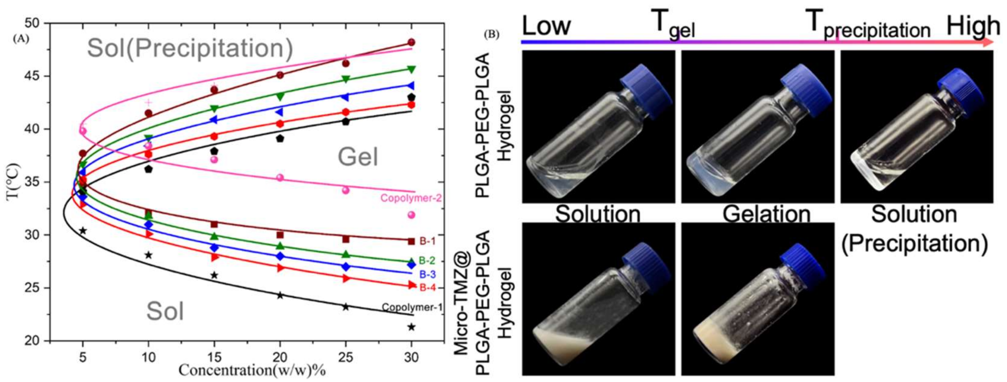 Polymers 14 03368 g001