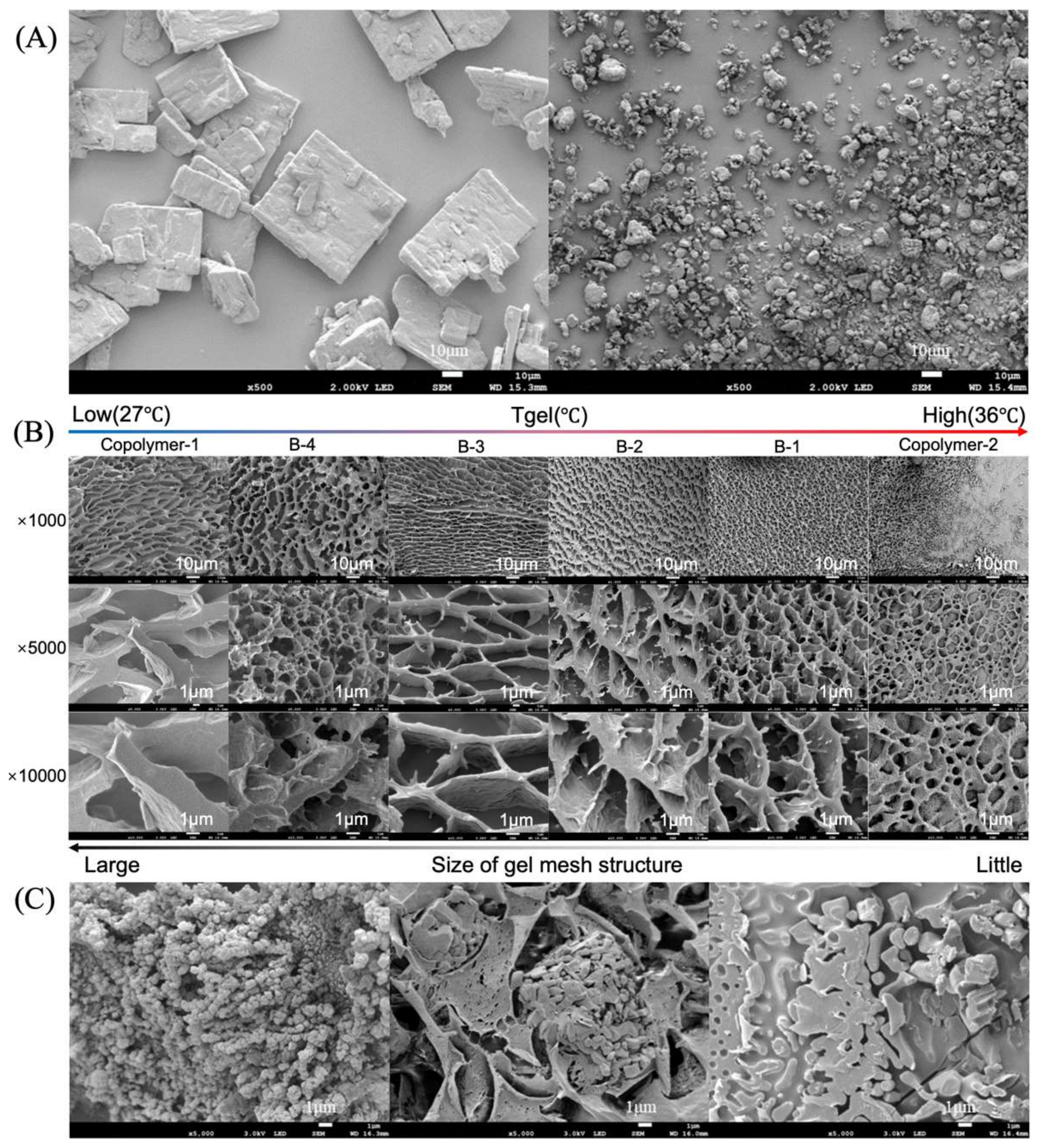 Polymers 14 03368 g003