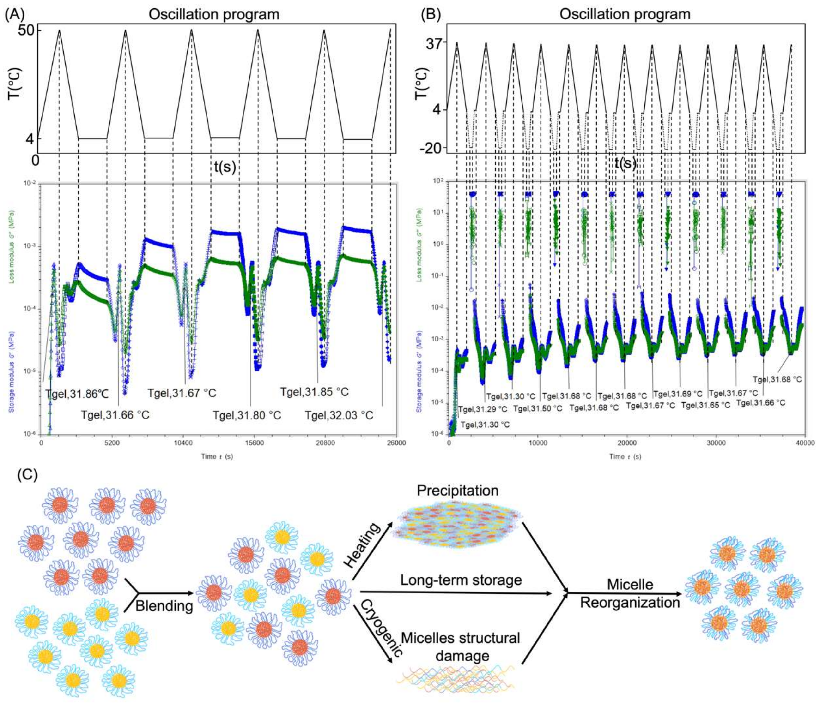 Polymers 14 03368 g008