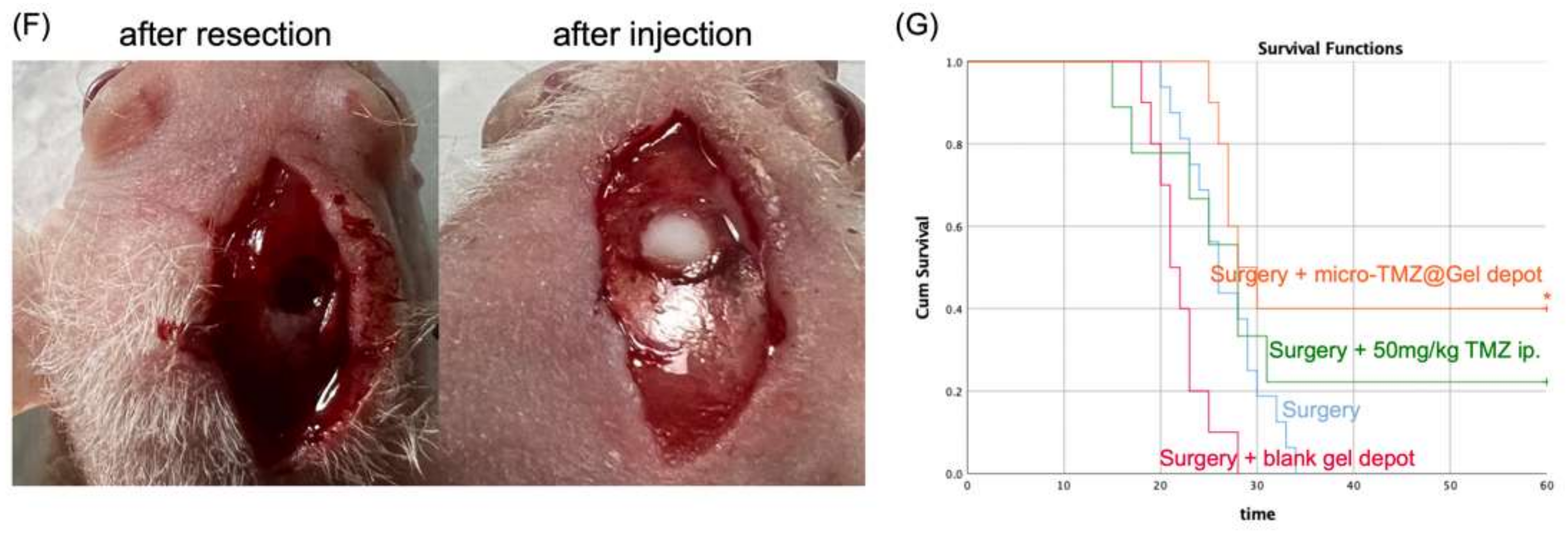 Polymers 14 03368 g010b