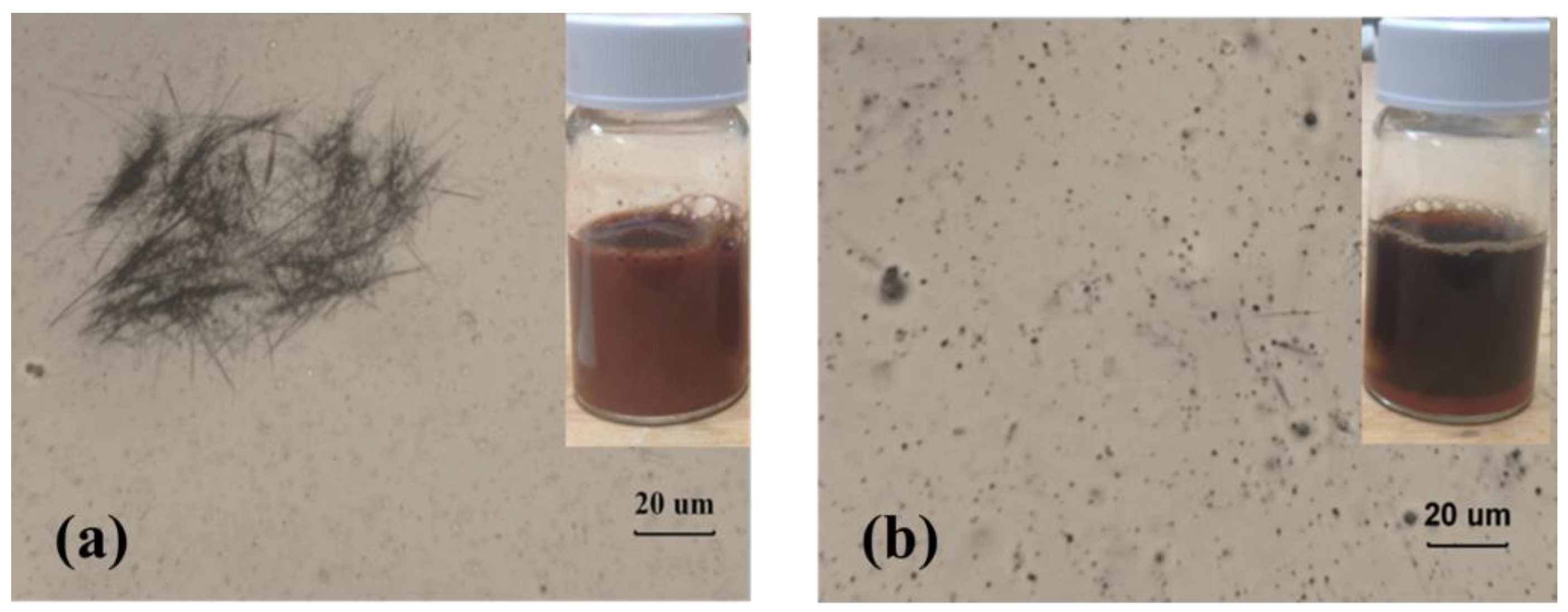 Polymers 14 03369 g004 550
