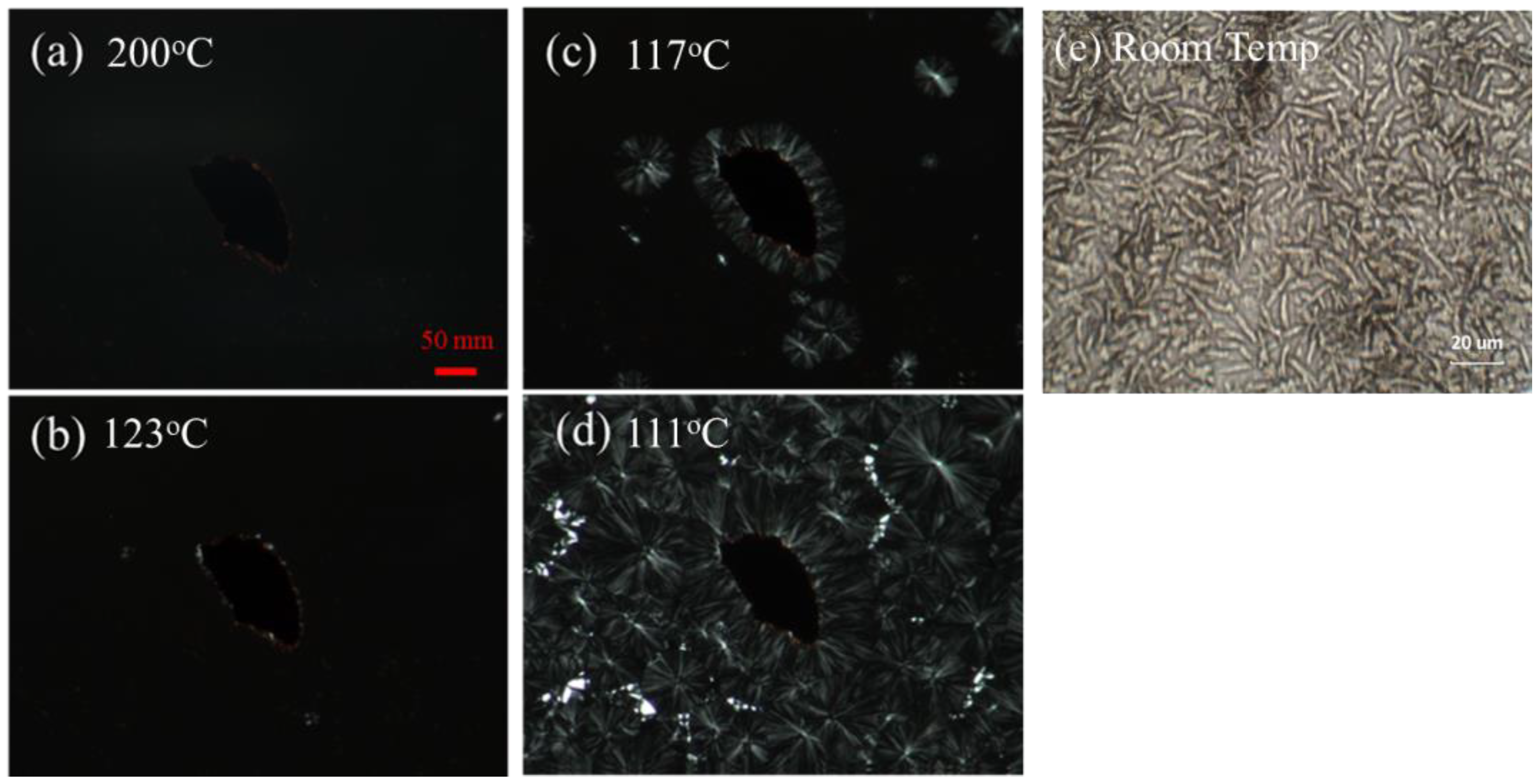 Polymers 14 03369 g006 550
