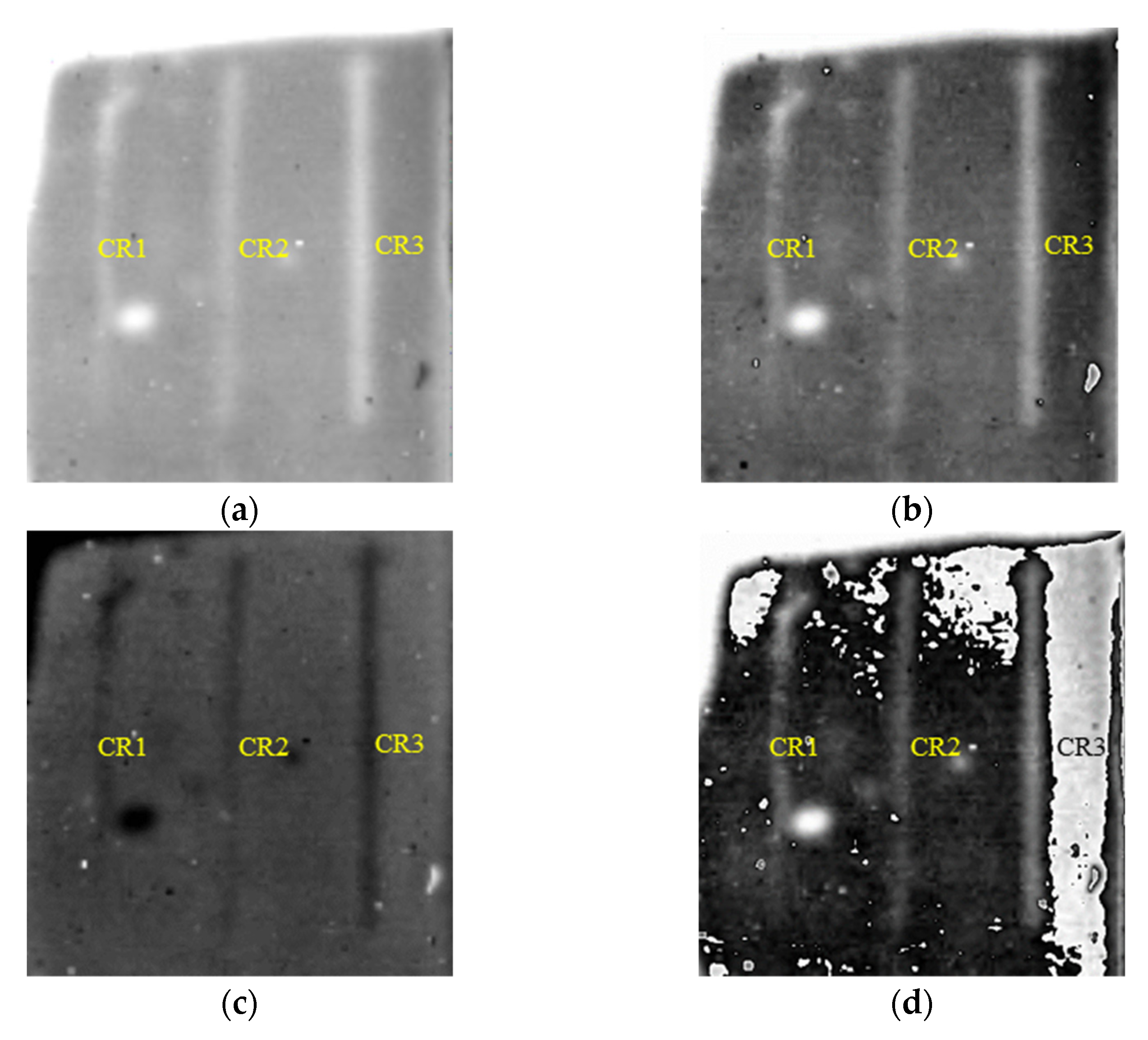 Polymers 14 03373 g010