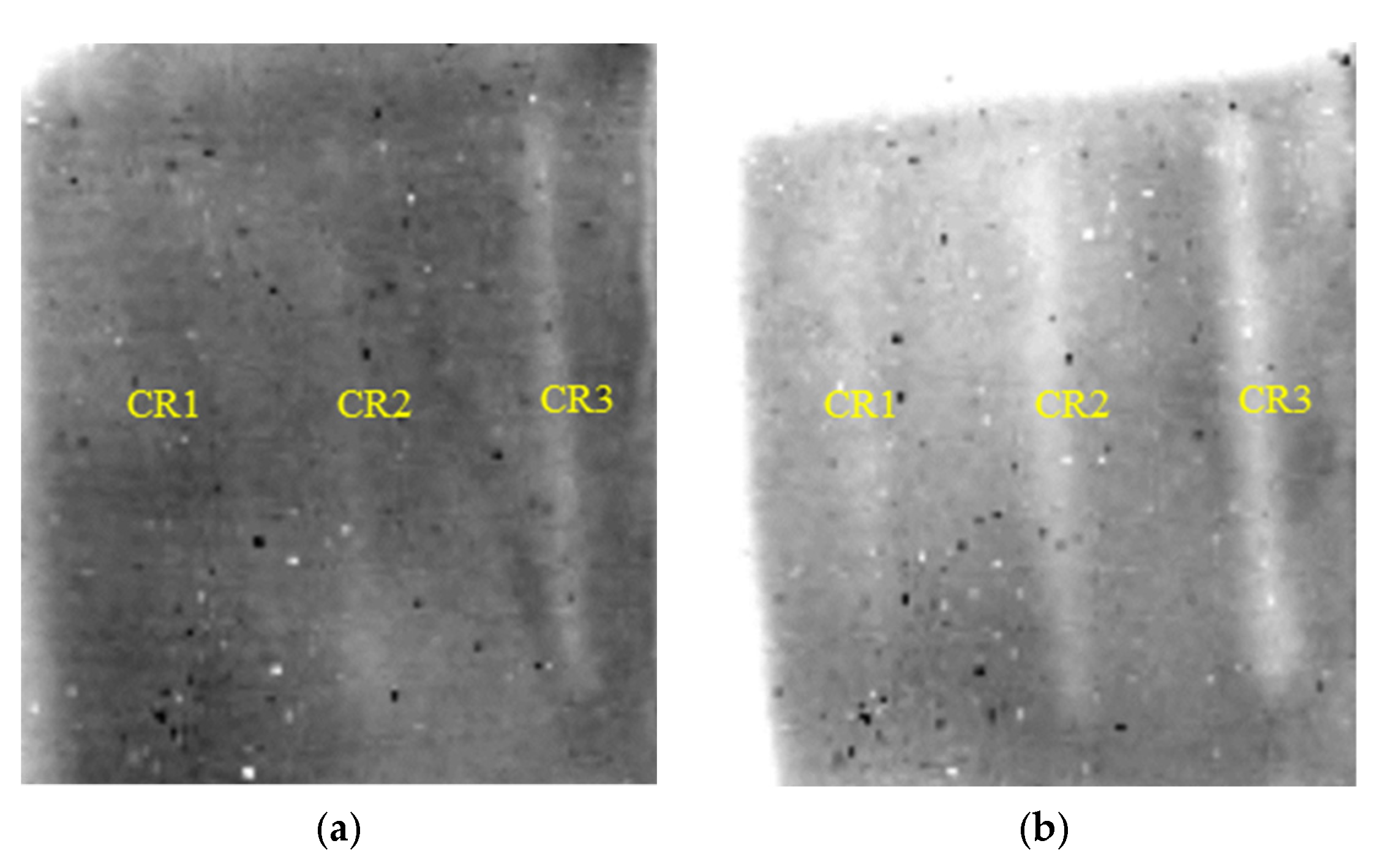 Polymers 14 03373 g011