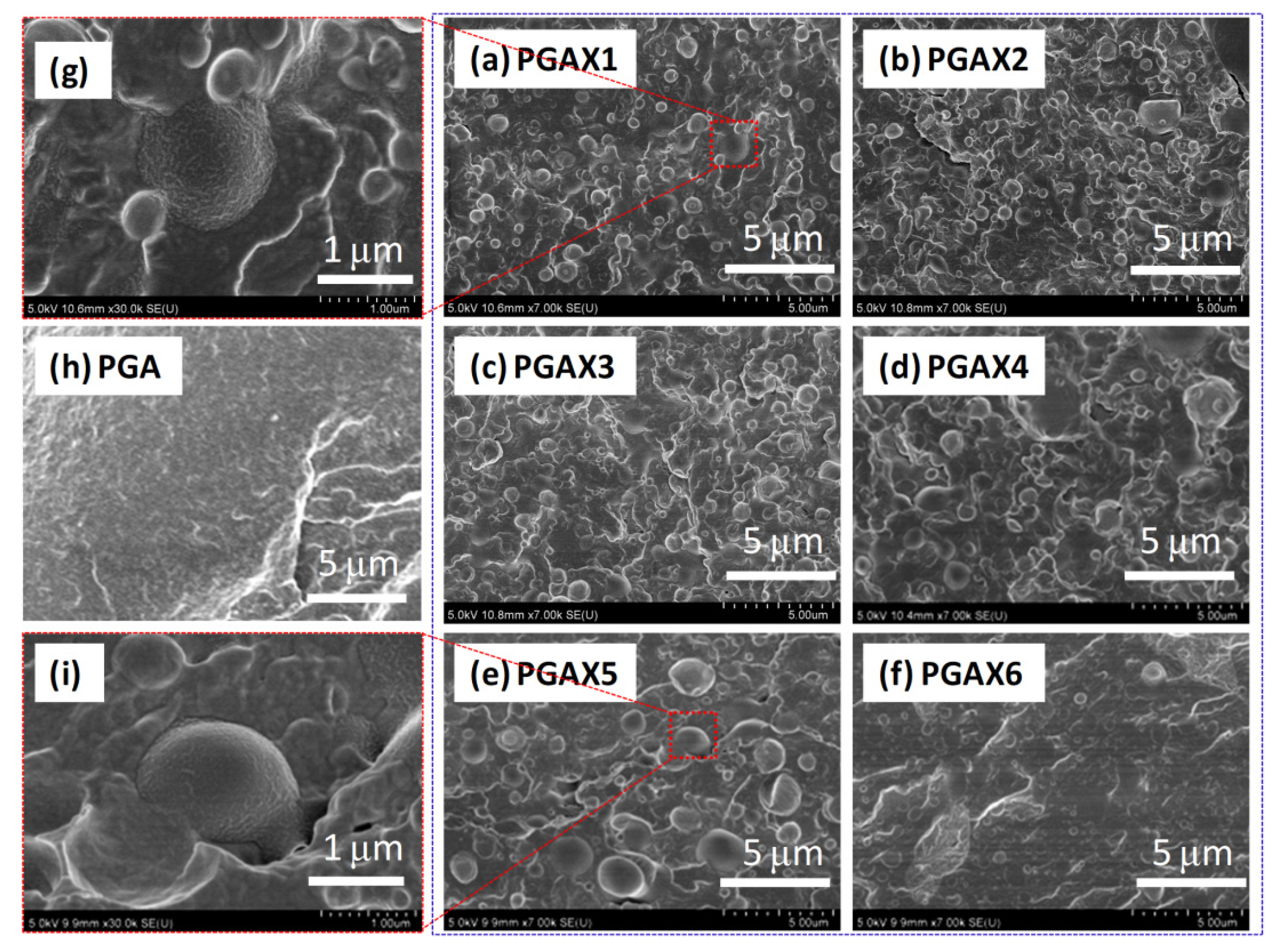 Polymers 14 03375 g001