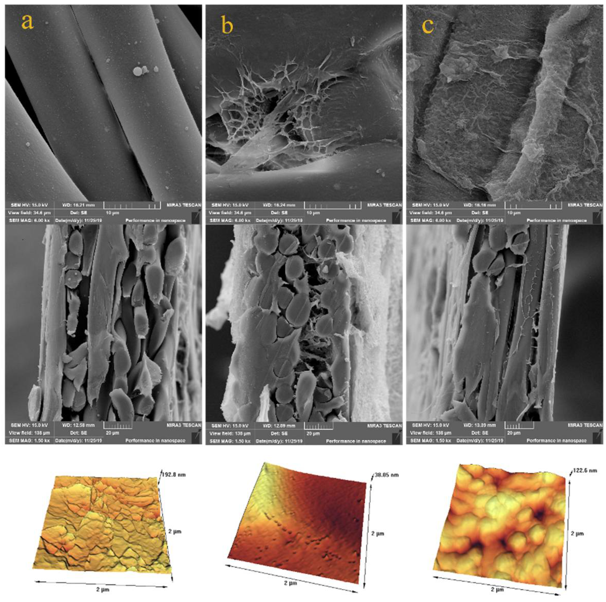 Polymers 14 03376 g002