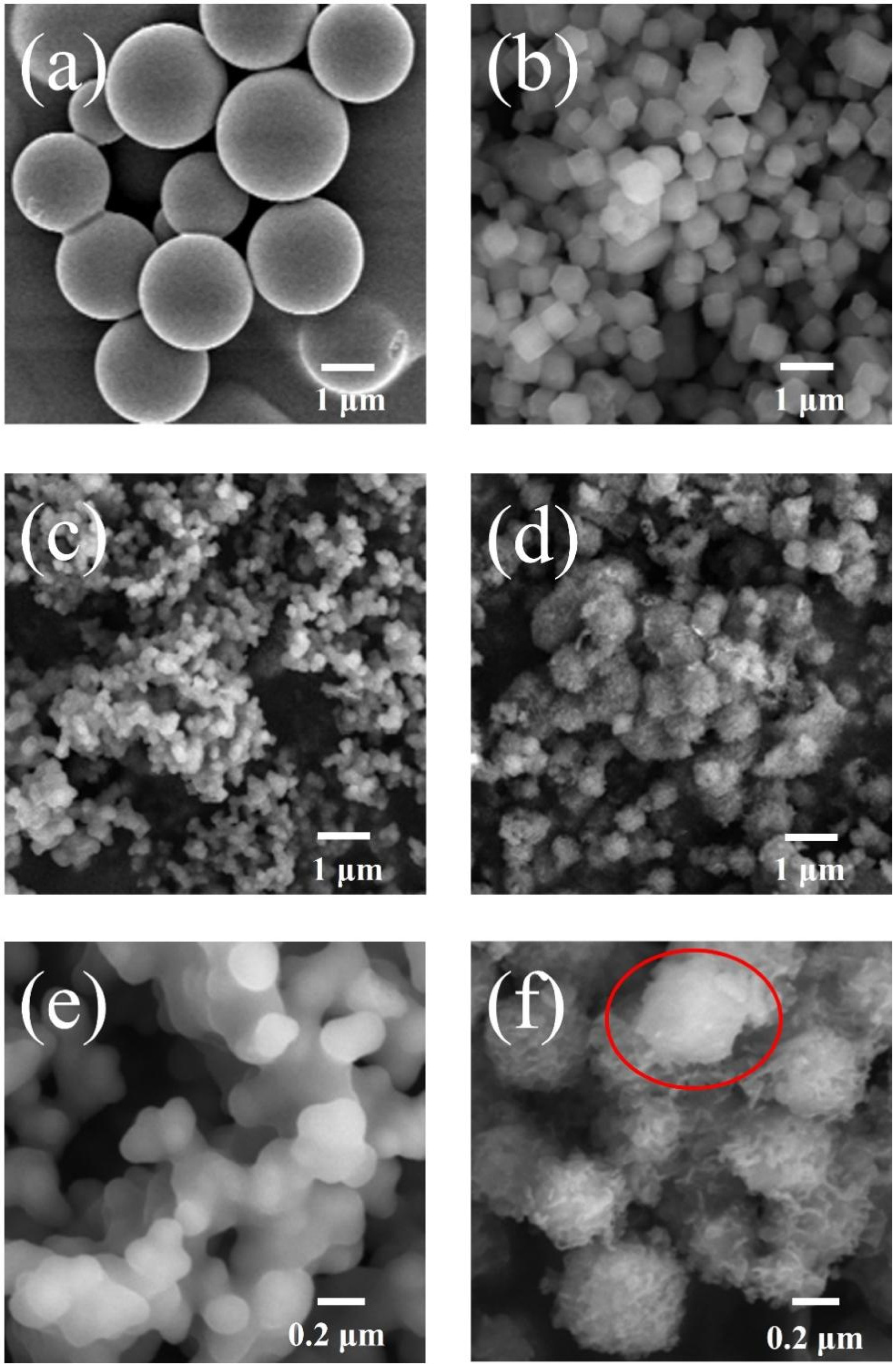 Polymers 14 03377 g002
