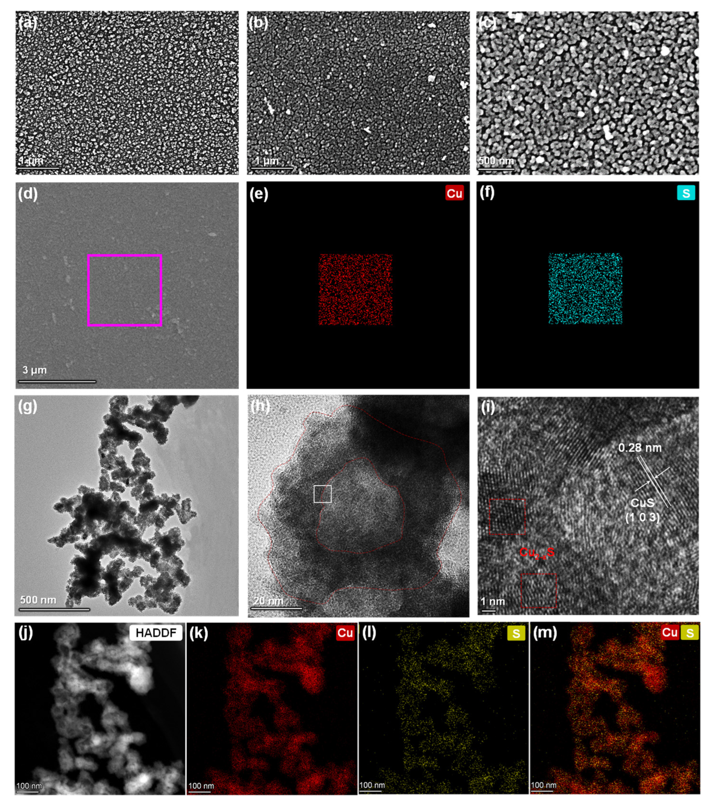Polymers 14 03382 g003