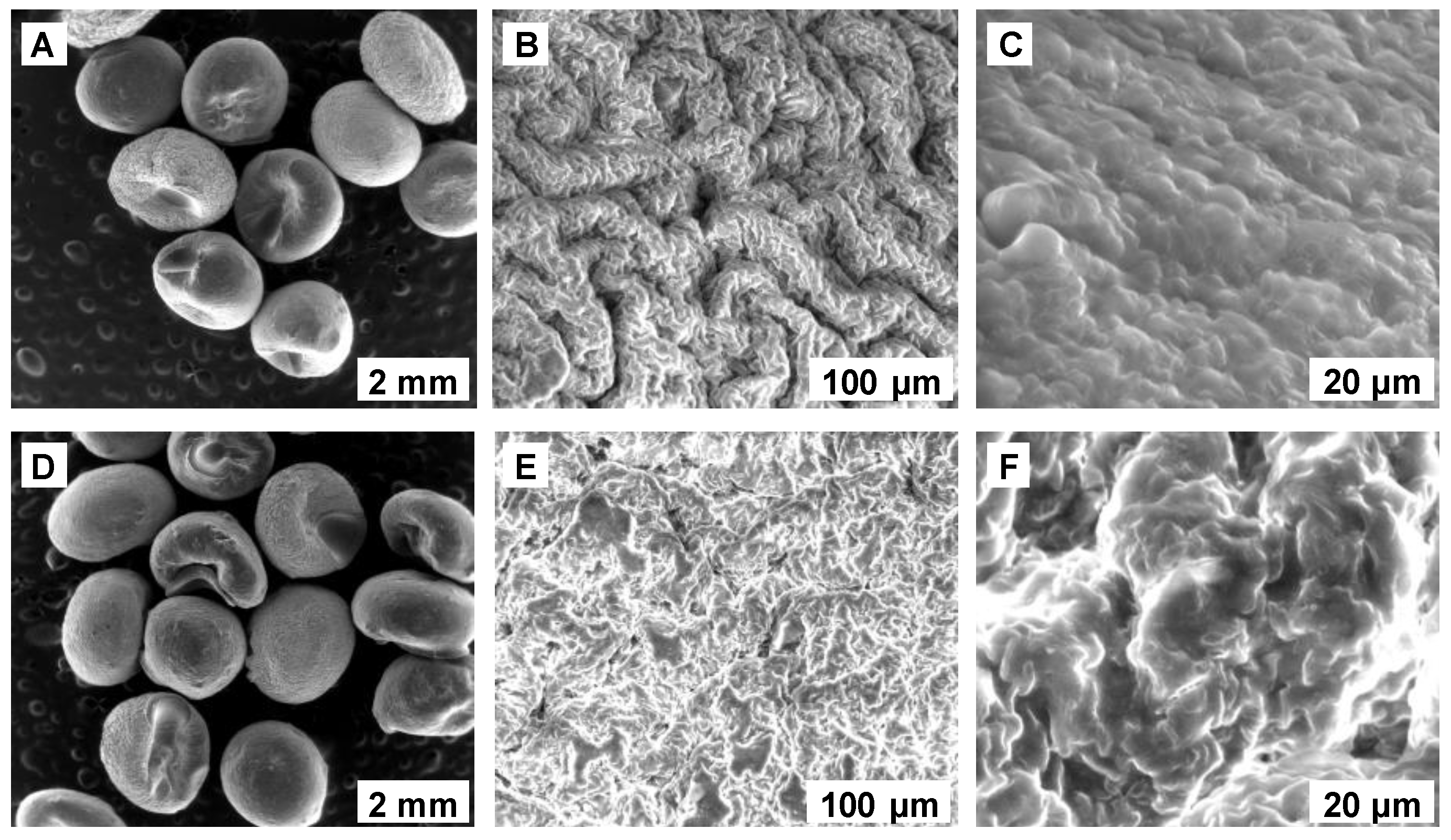 Polymers 14 03388 g001