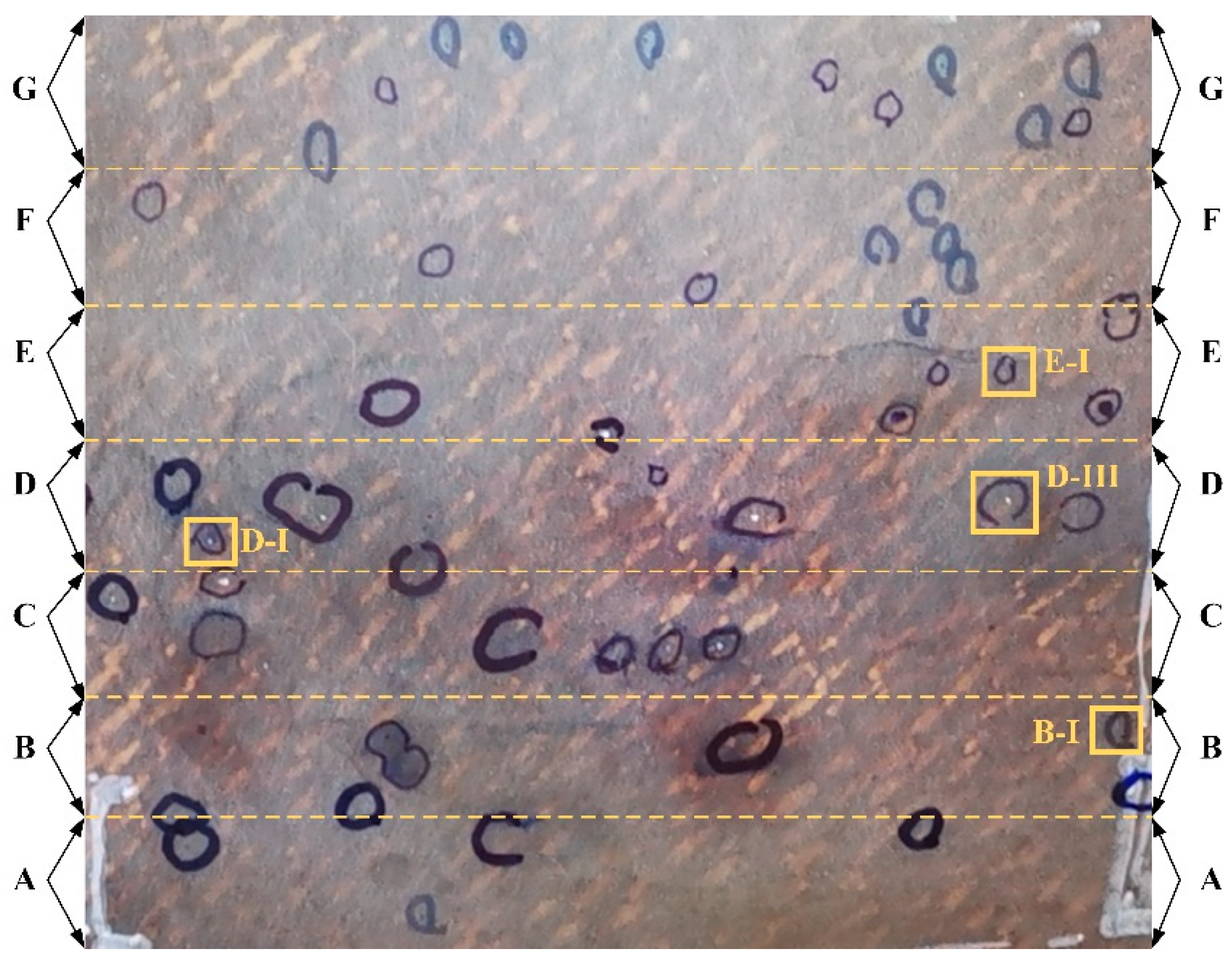 Polymers 14 03390 g016
