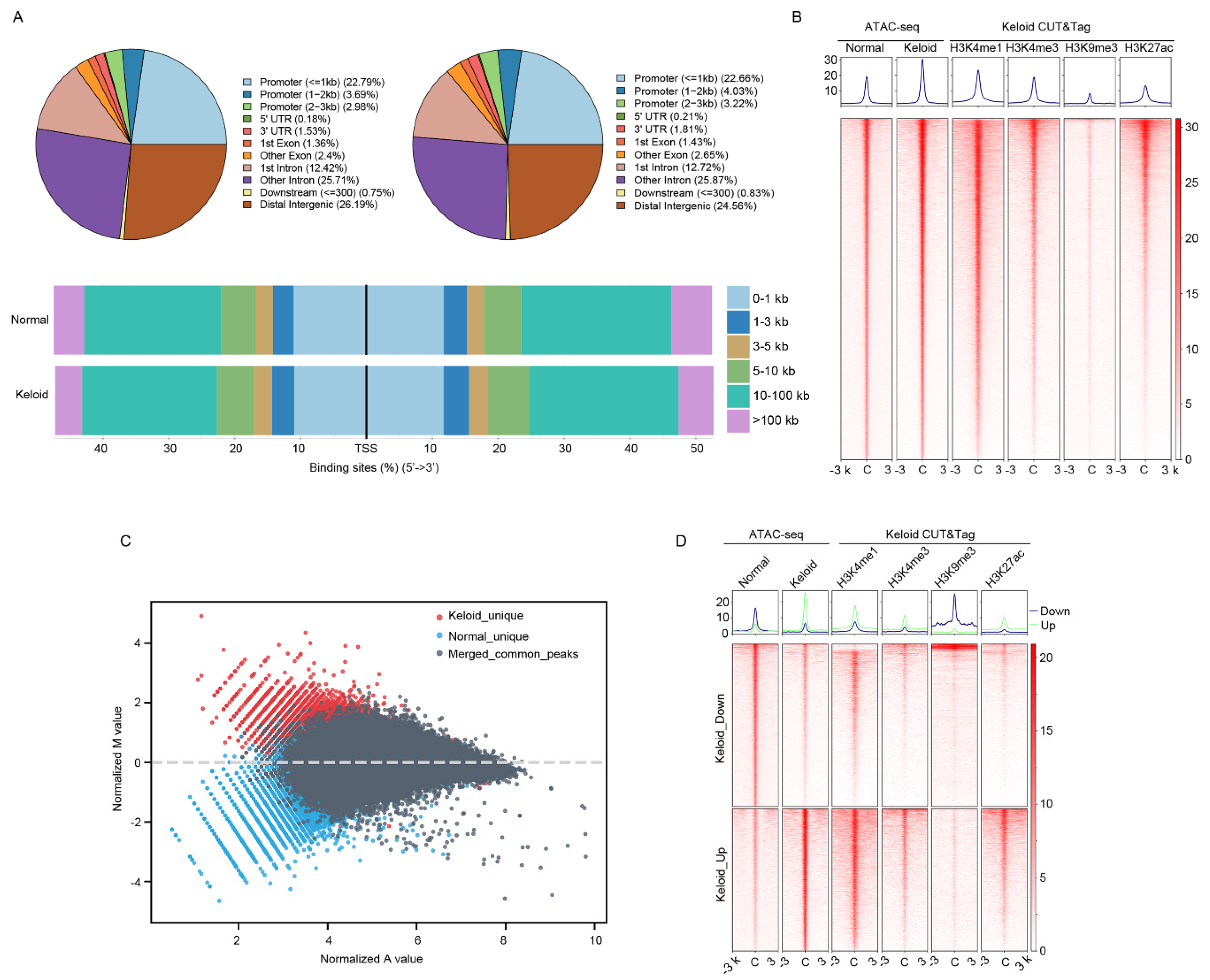Polymers 14 03391 g001