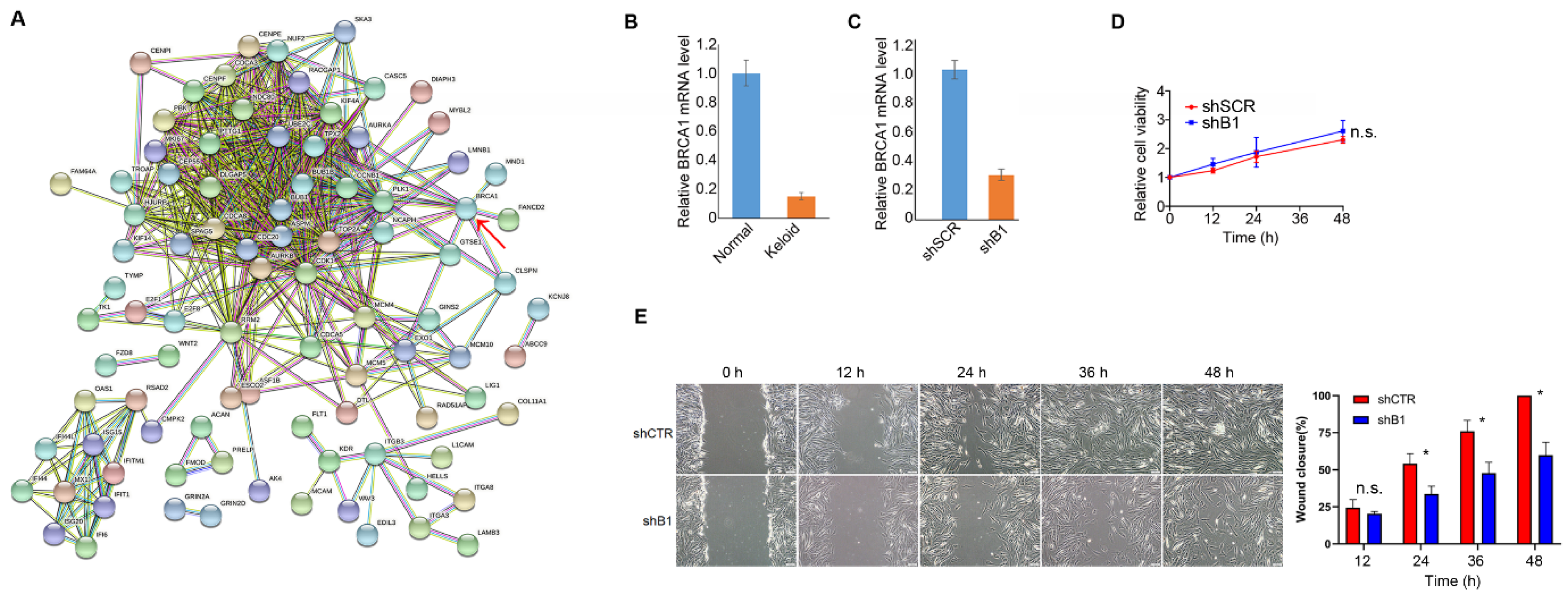Polymers 14 03391 g003