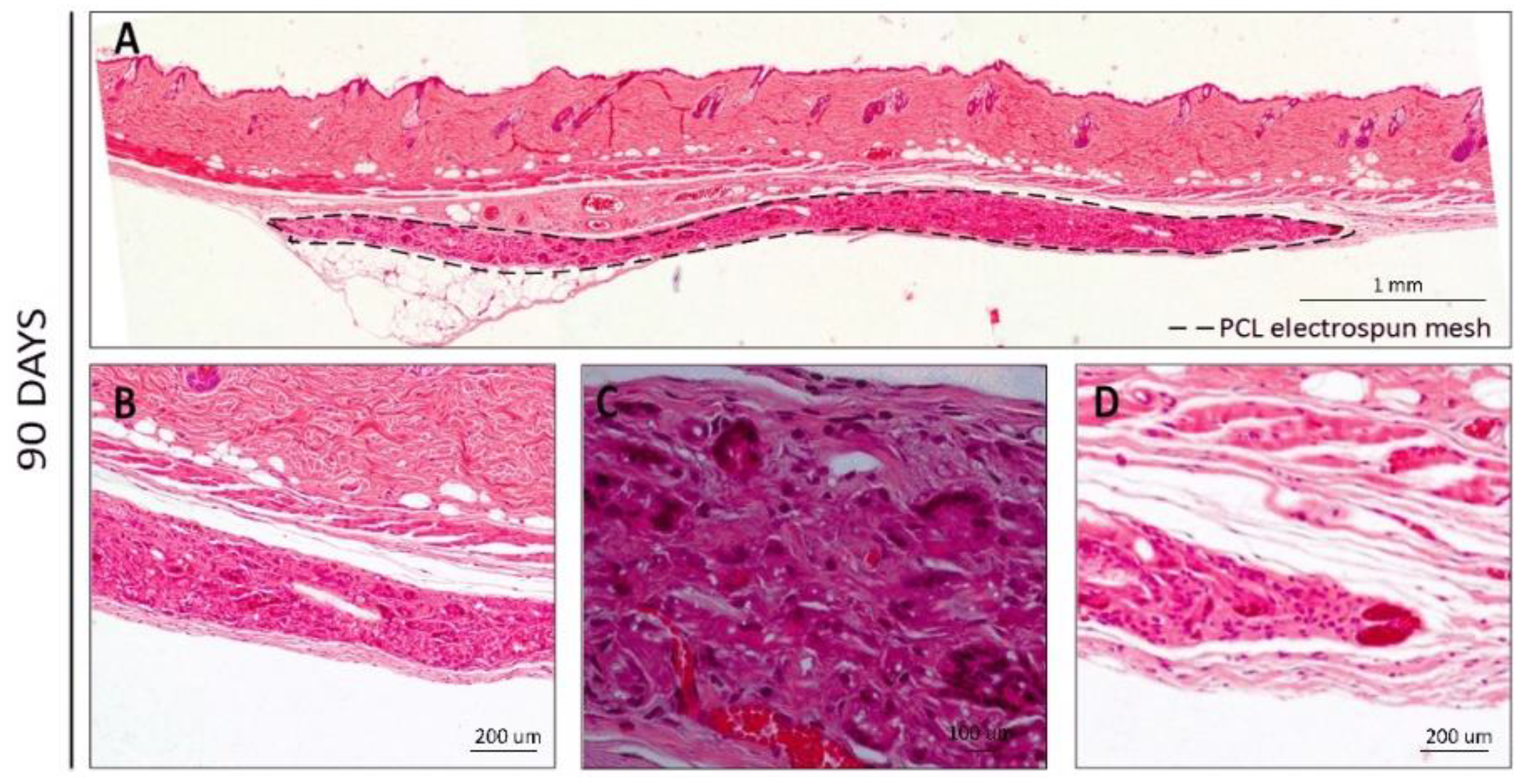 Polymers 14 03397 g005