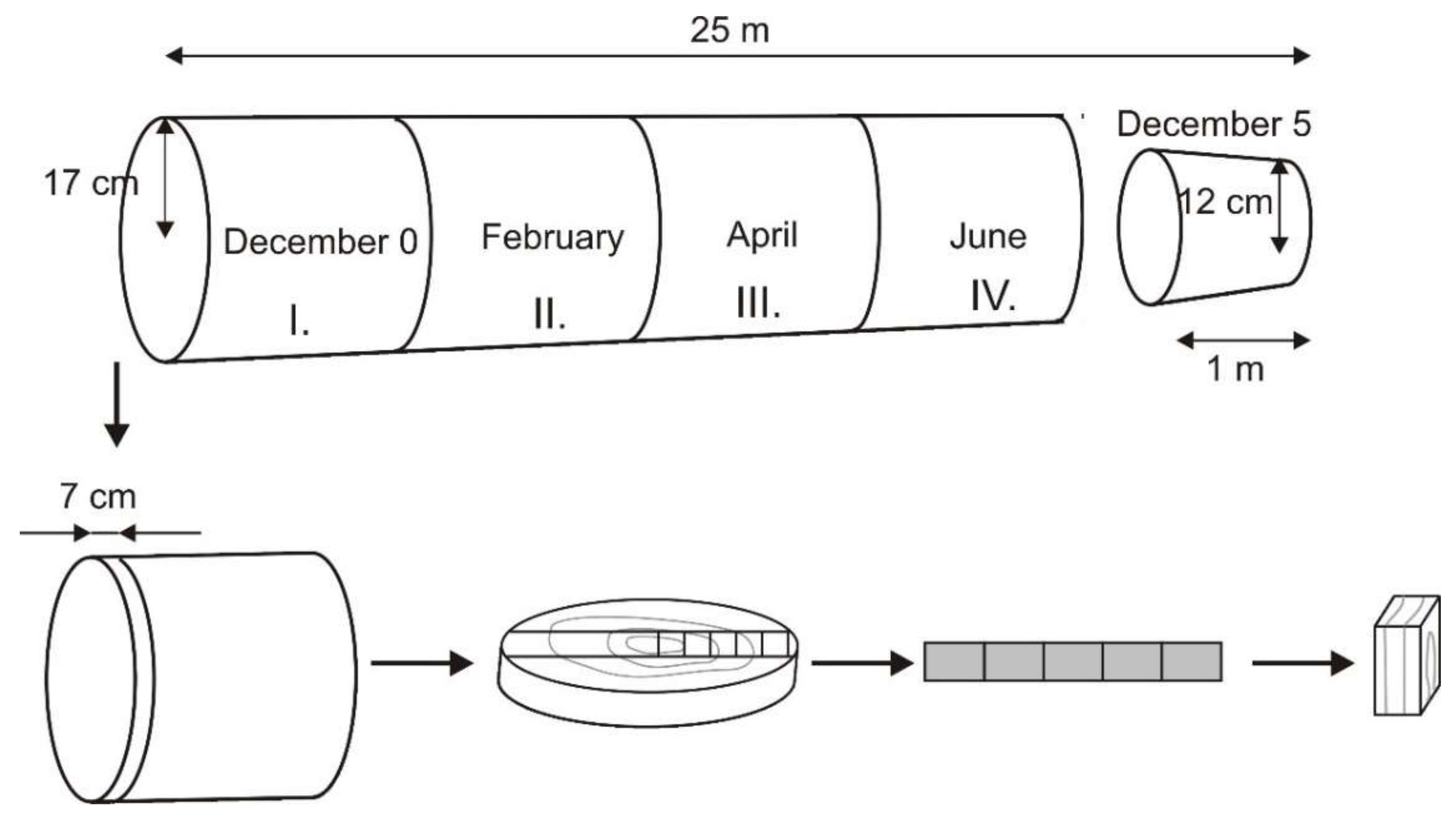 Polymers 14 03400 g001 Polymers 14 03400 g001