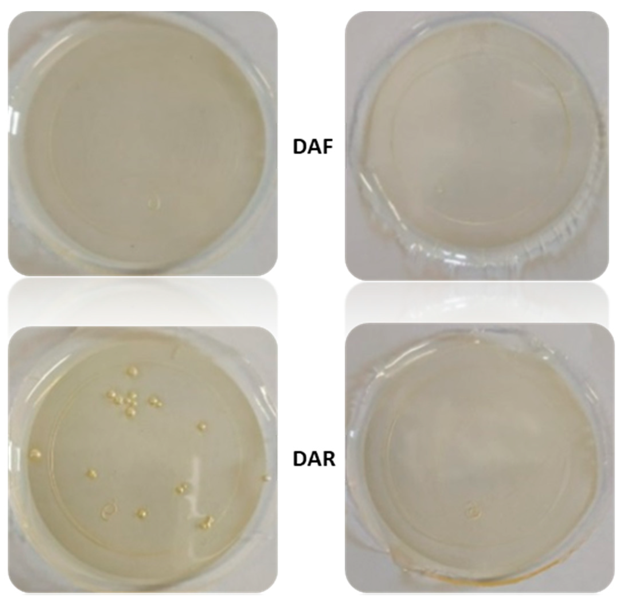 Polymers 14 03402 g002