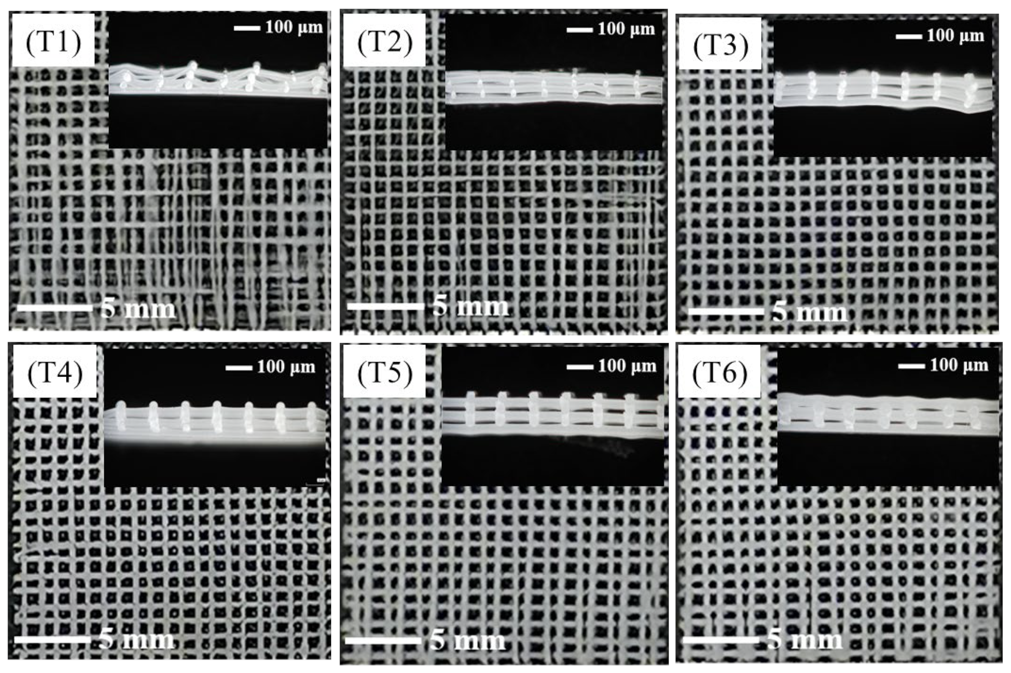 Polymers 14 03404 g005 550