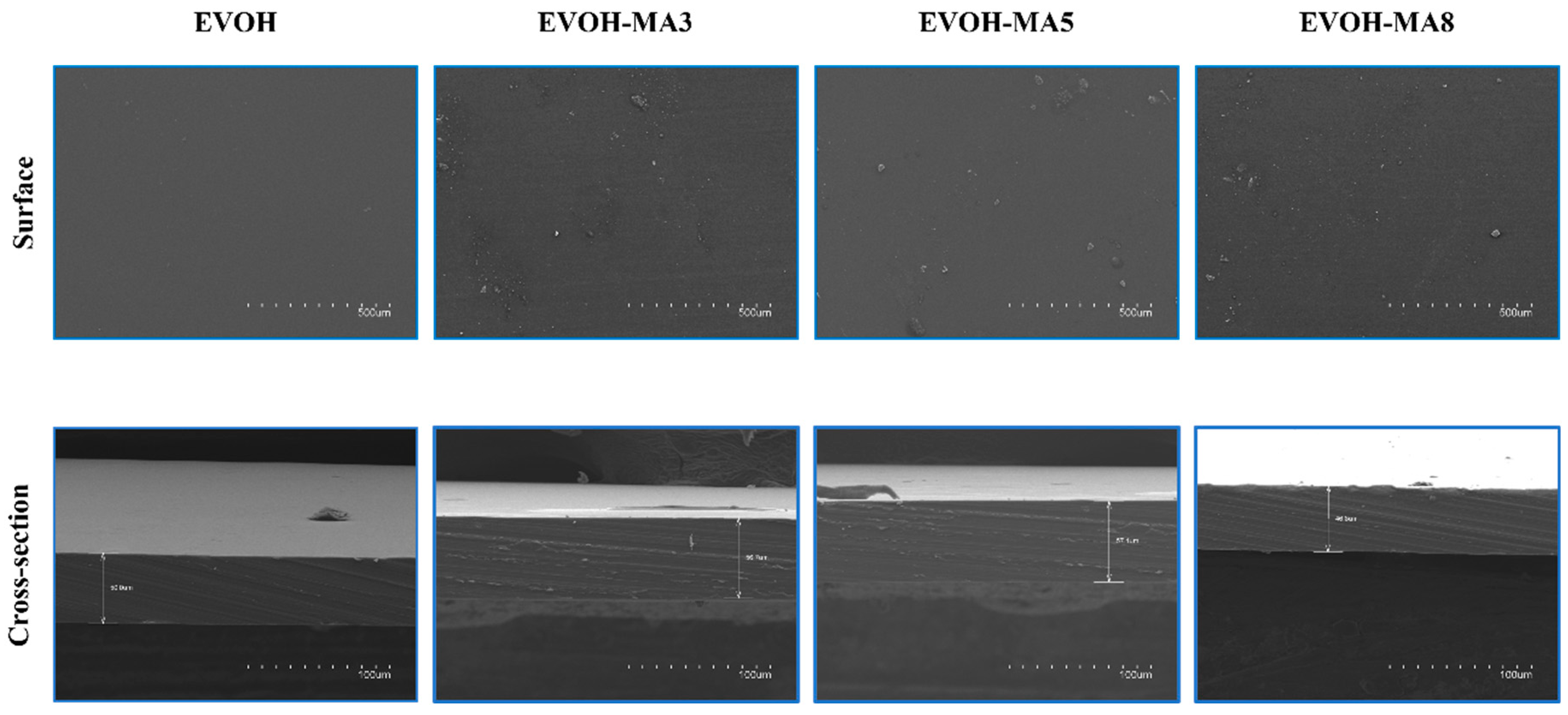 Polymers 14 03405 g003 550