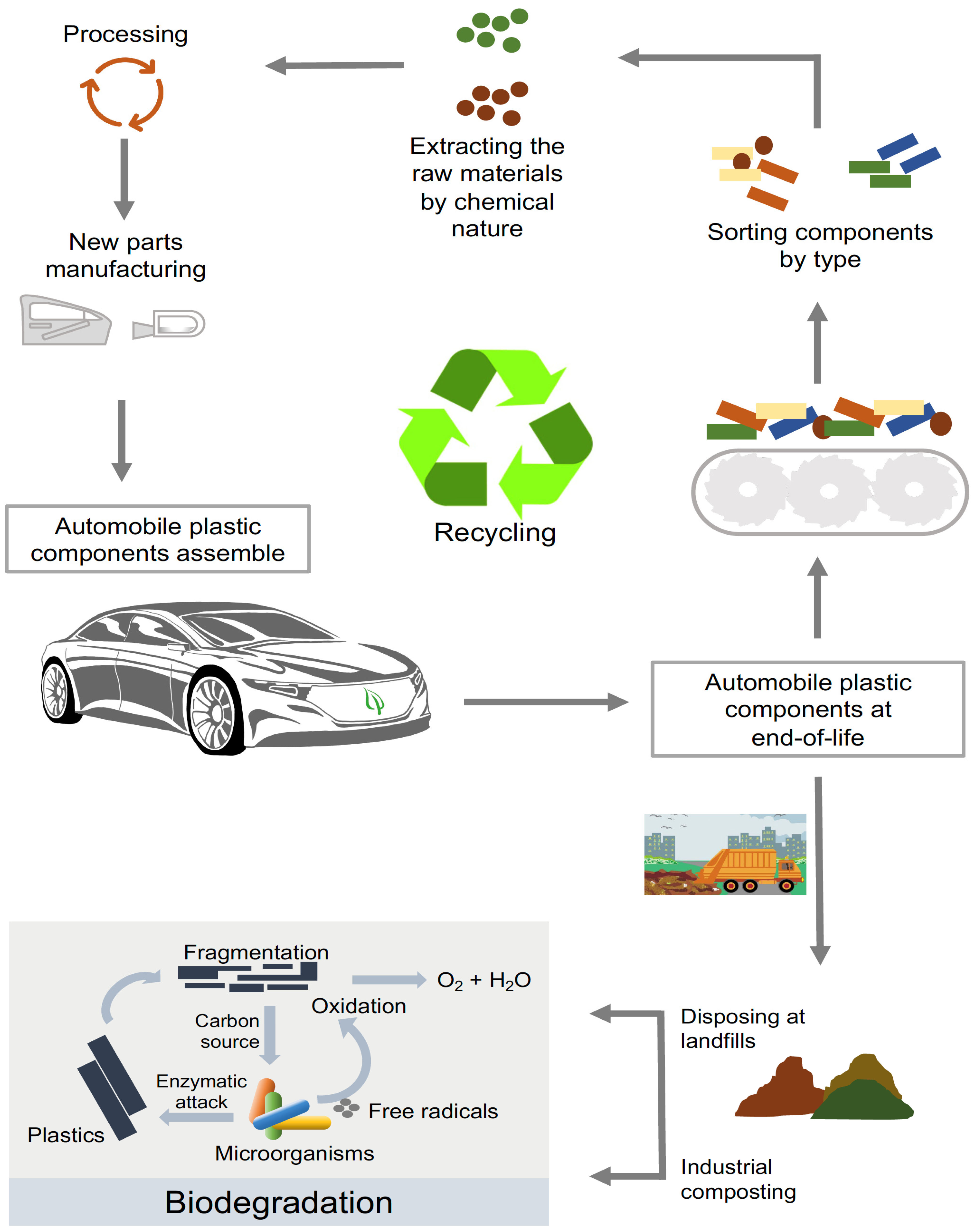 Polymers 14 03412 g001