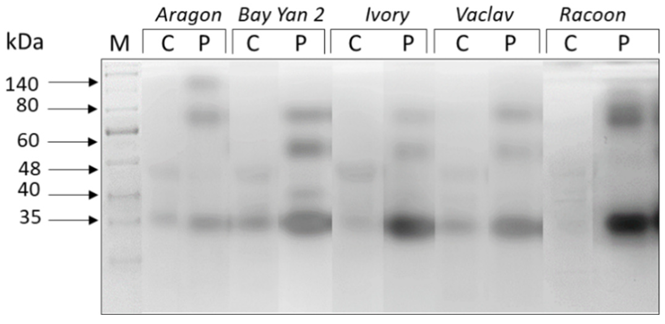 Polymers 14 03416 g003 Polymers 14 03416 g003
