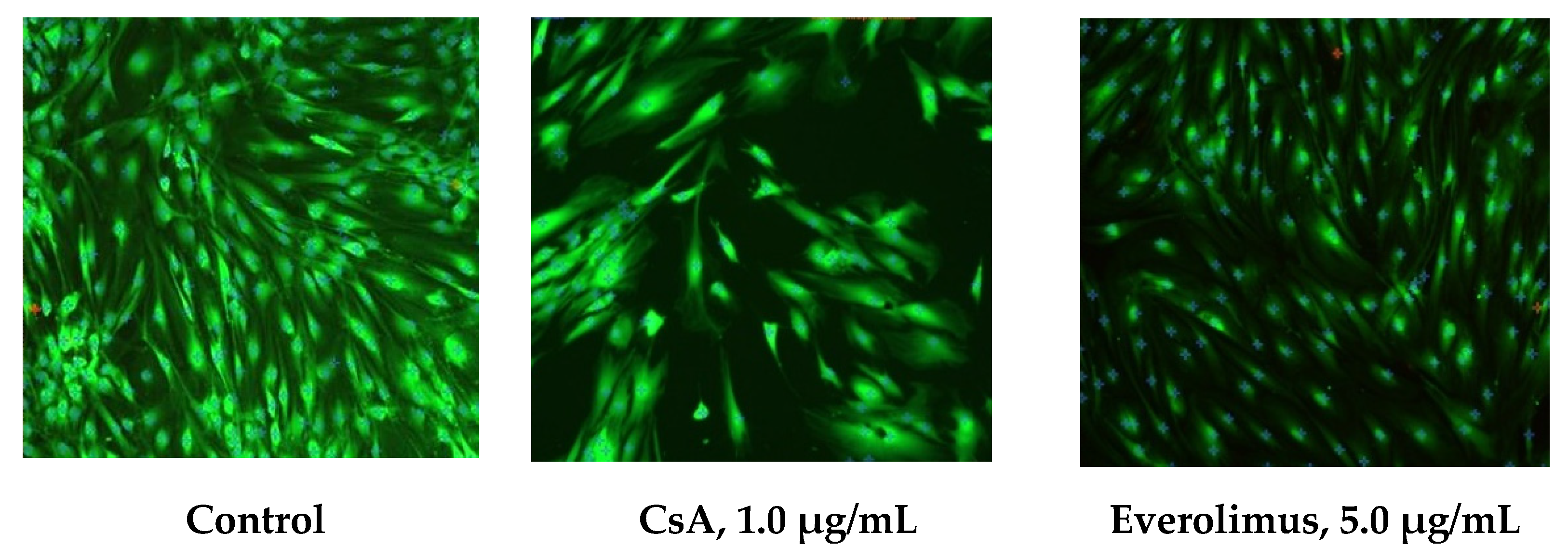 Polymers 14 03419 g008