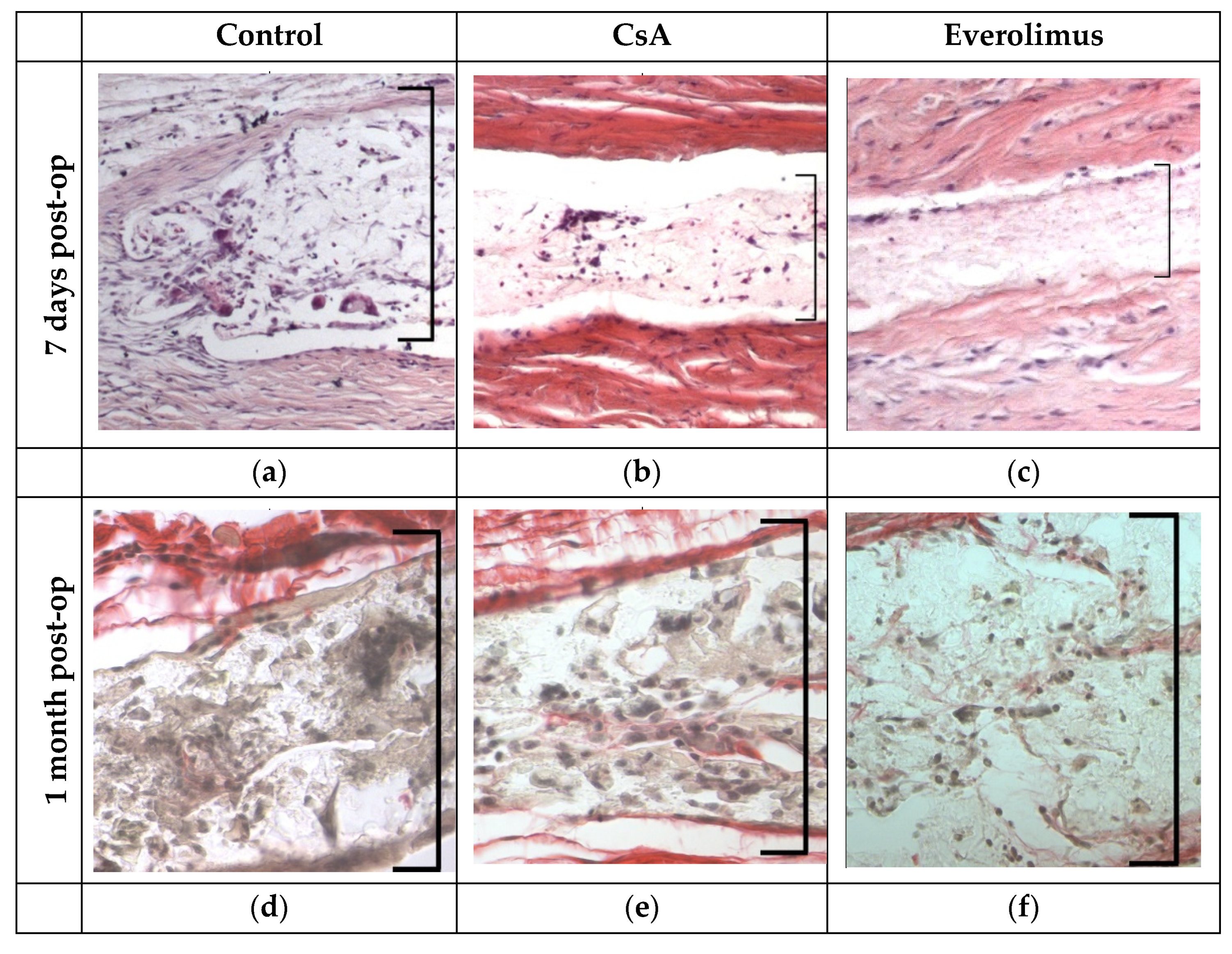 Polymers 14 03419 g013a