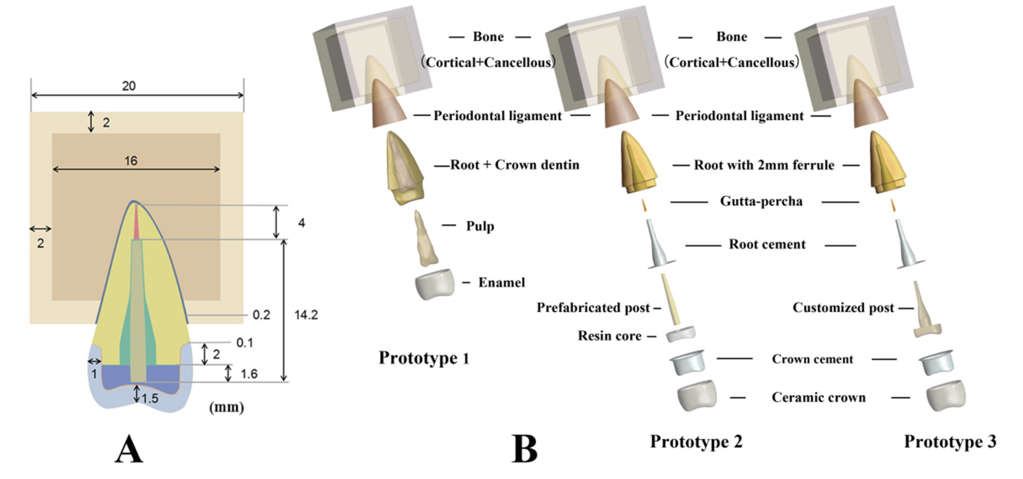 Polymers 14 03422 g001
