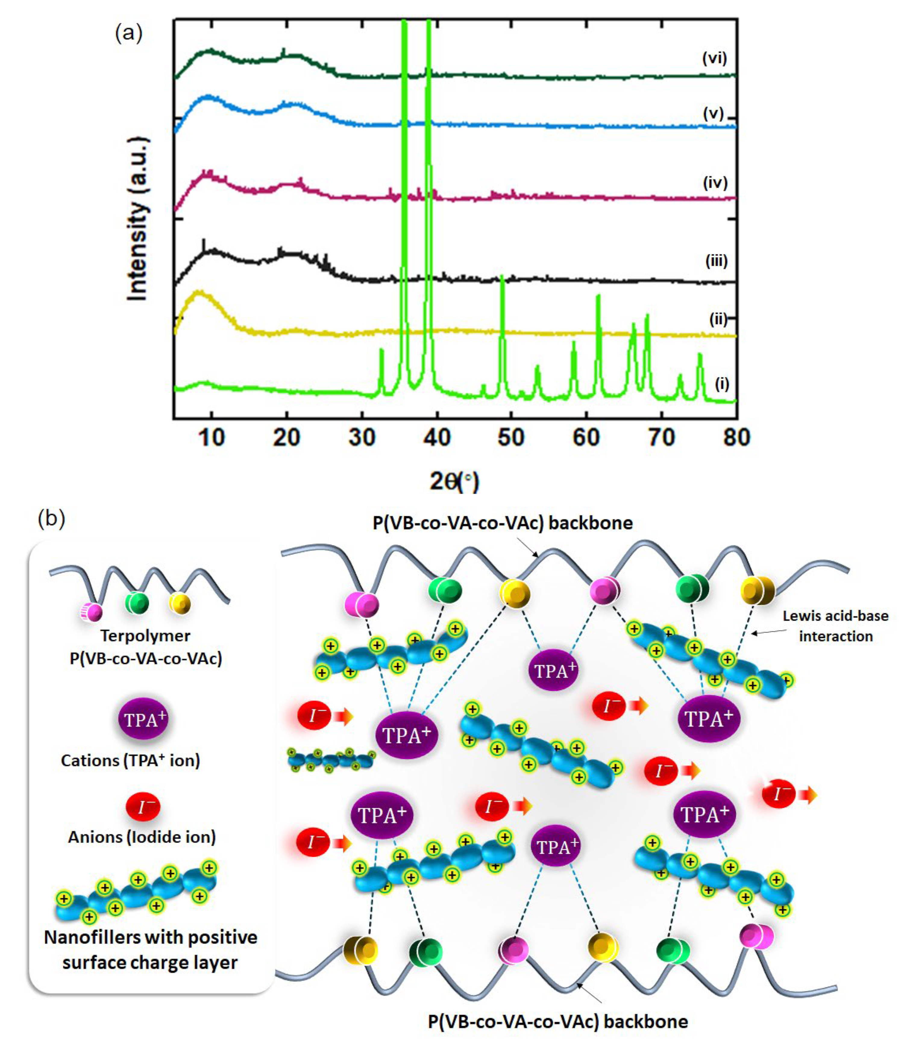 Polymers 14 03426 g002 550
