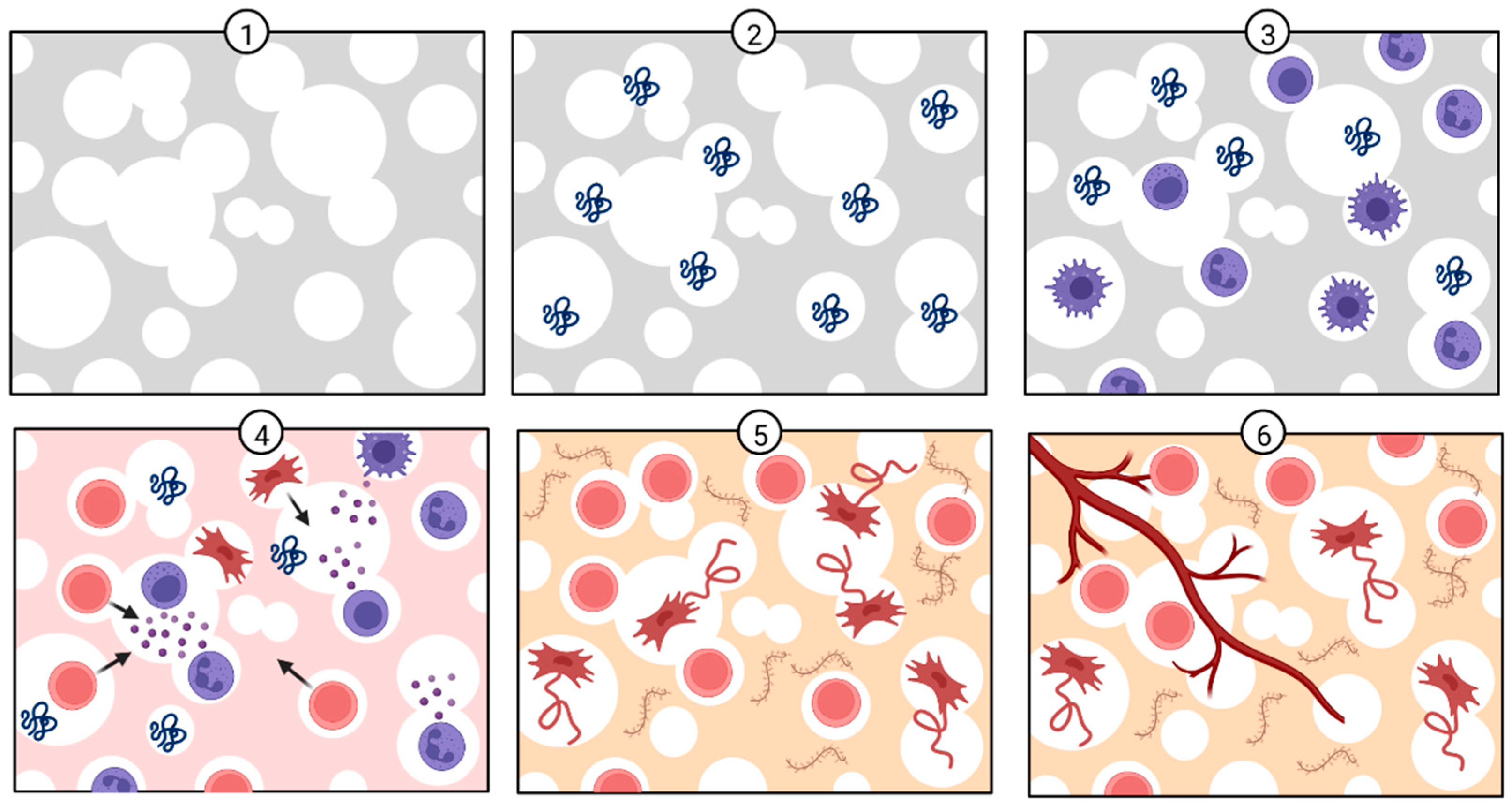 Polymers 14 03430 g002 550