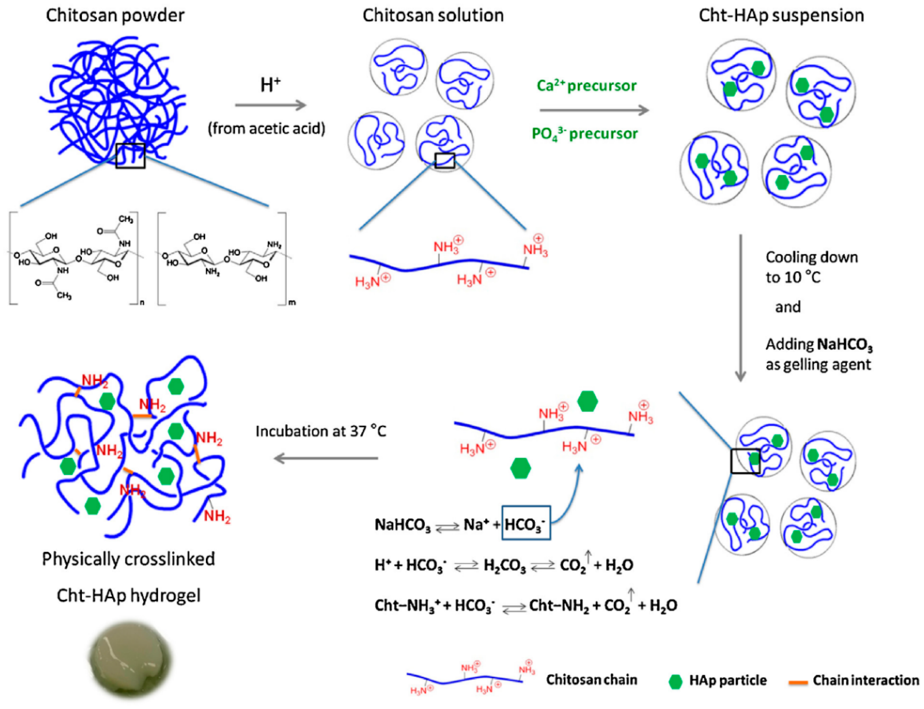 Polymers 14 03430 g005 550