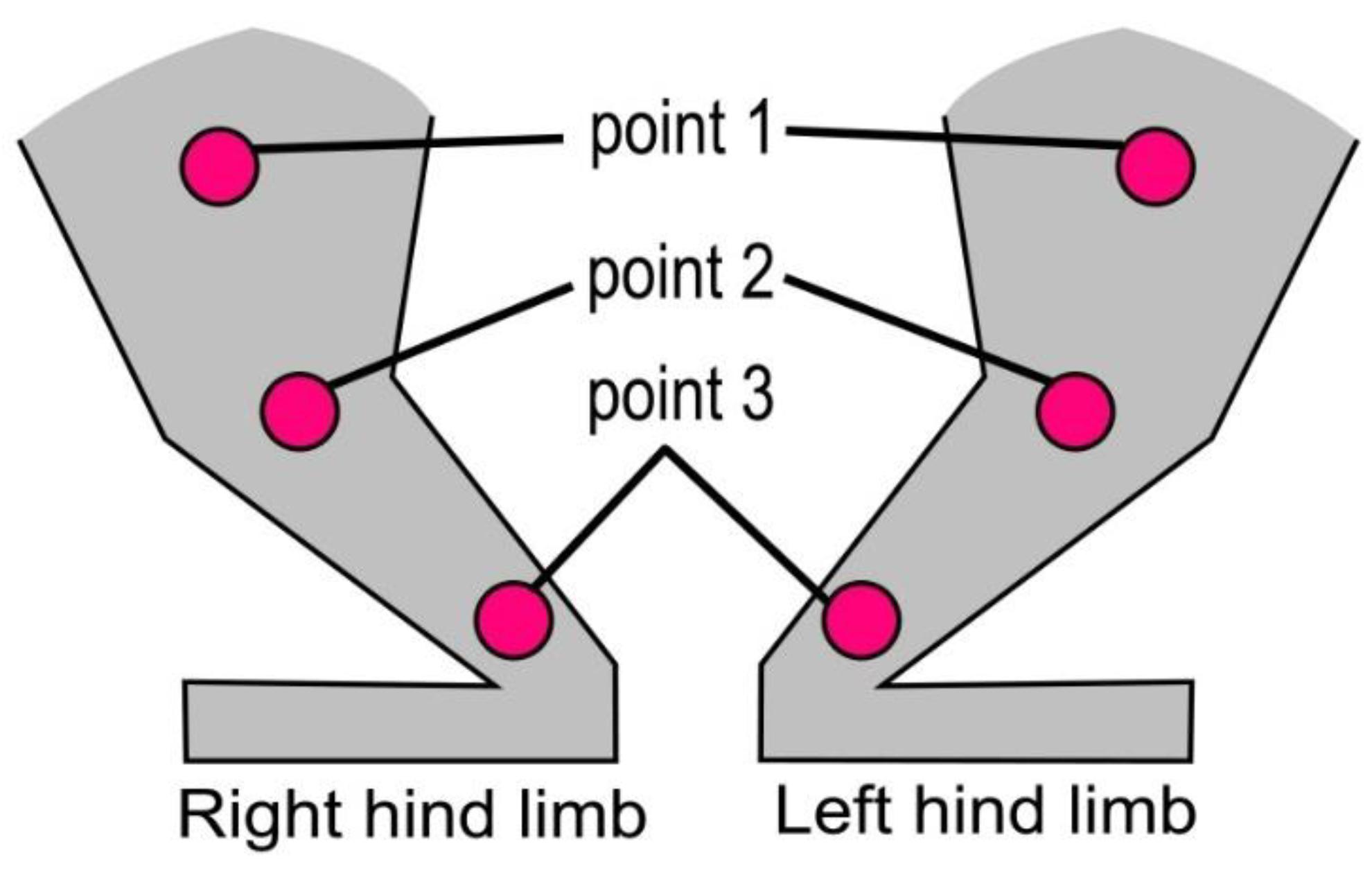 Polymers 14 03431 g001