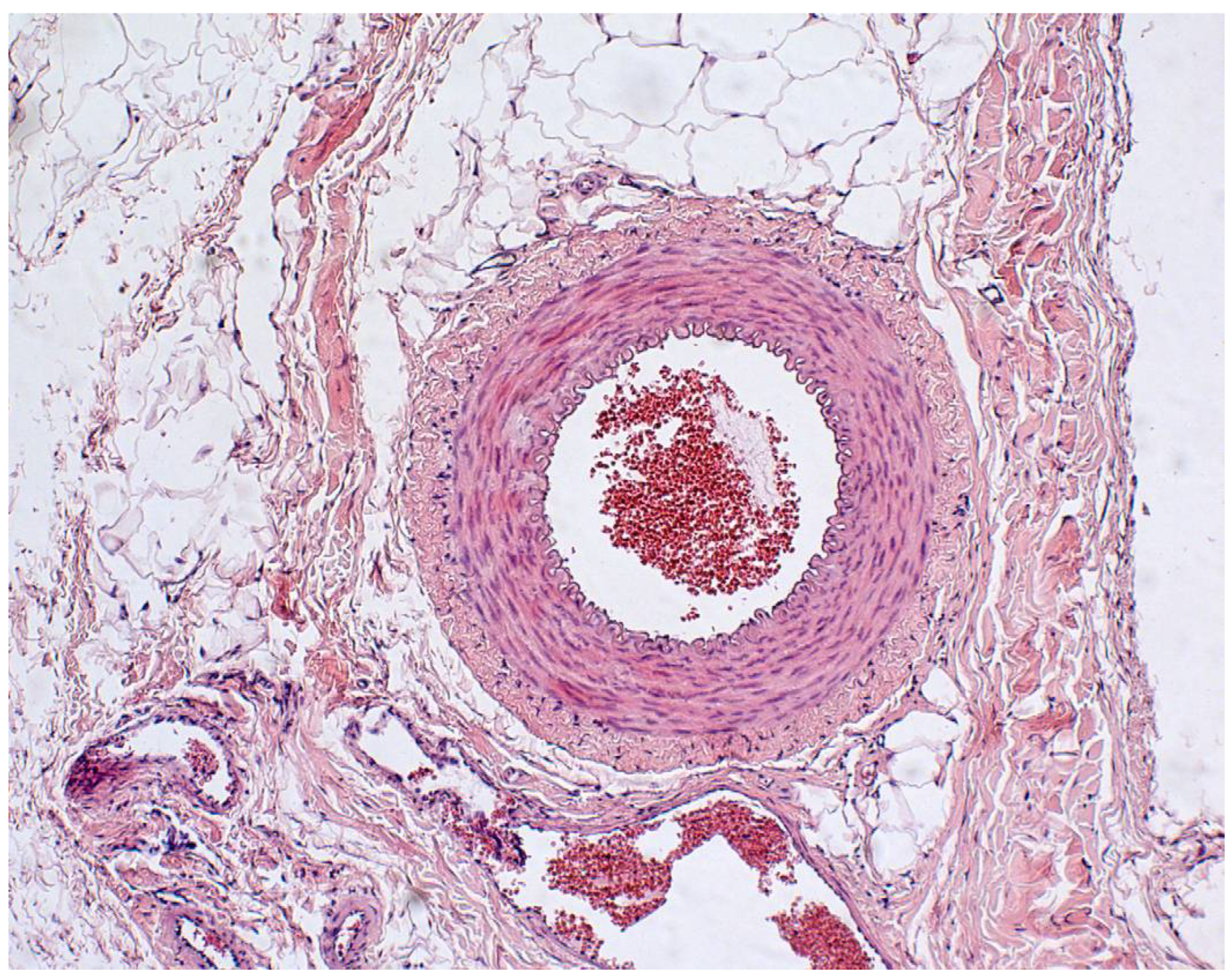 Polymers 14 03431 g005